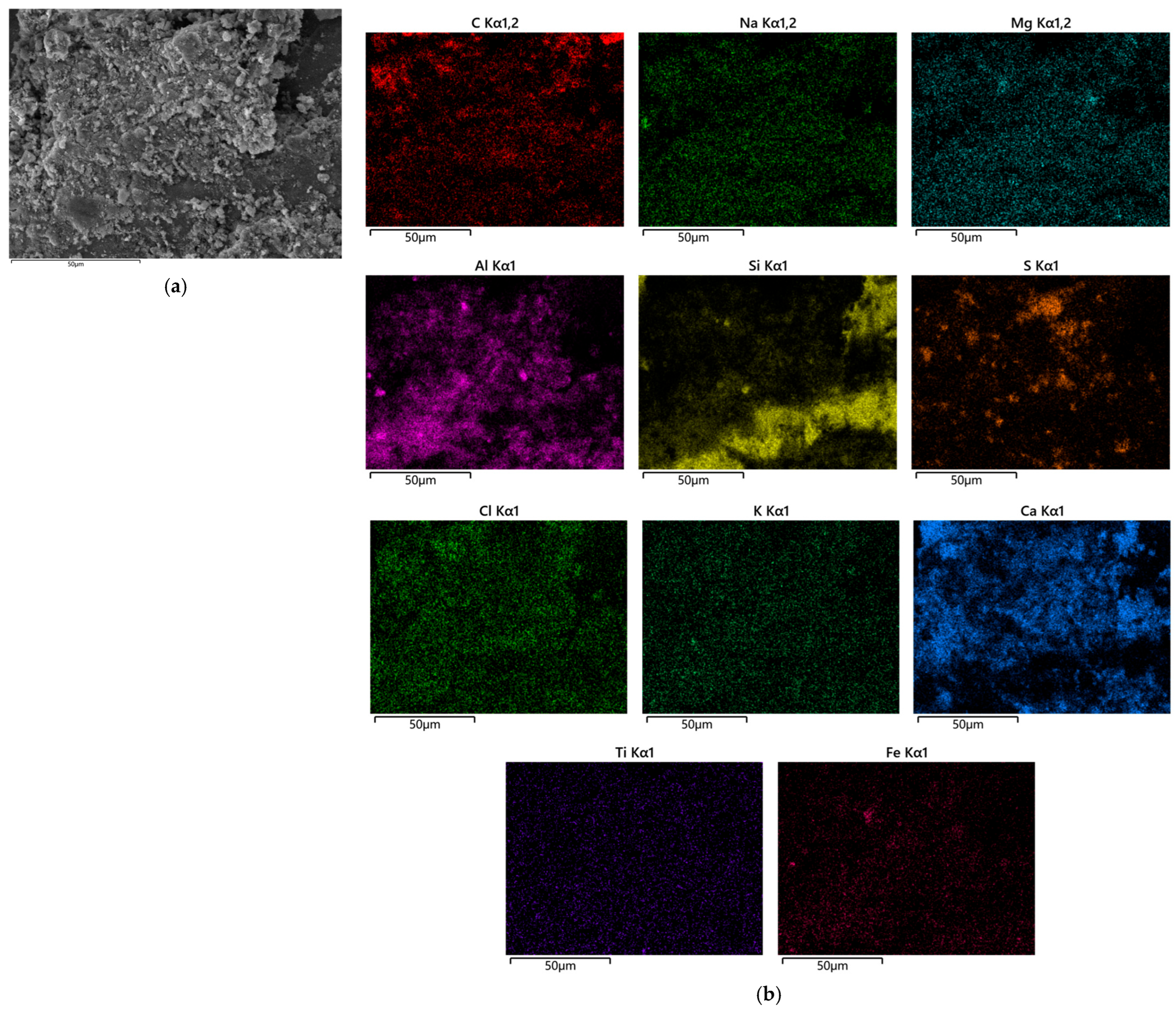 Coatings 15 01351 g014