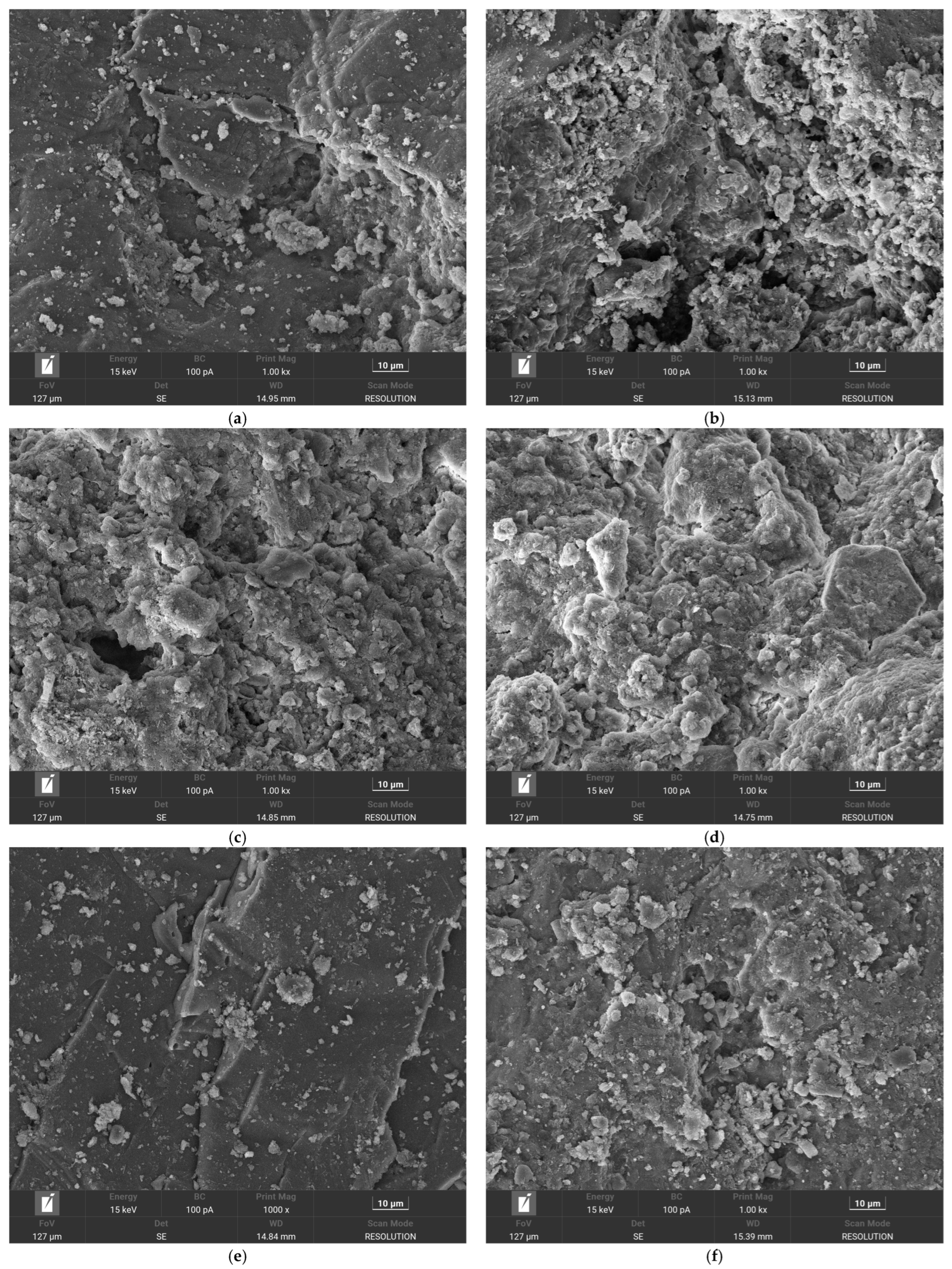 Coatings 15 01351 g0a1a