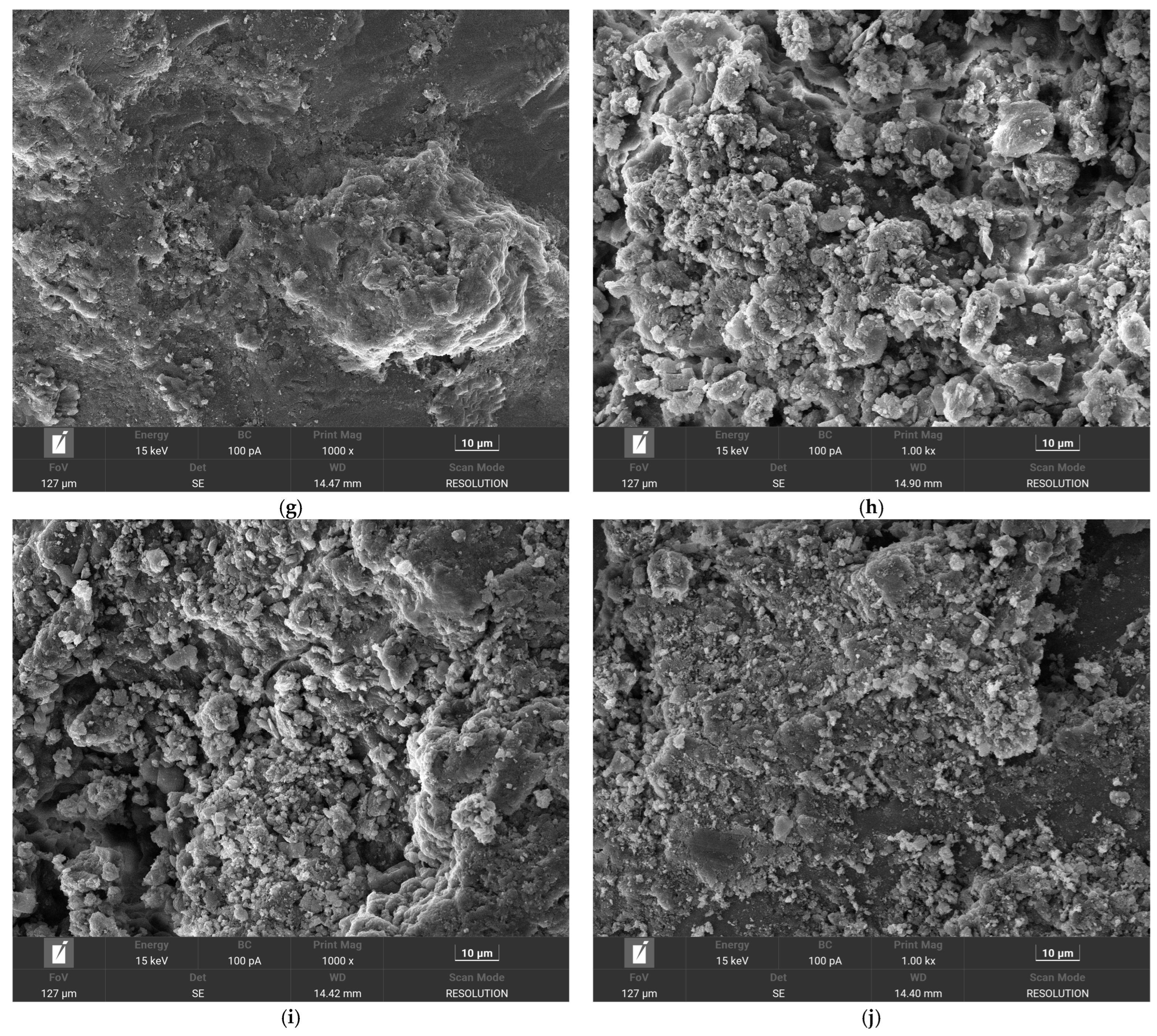 Coatings 15 01351 g0a1b