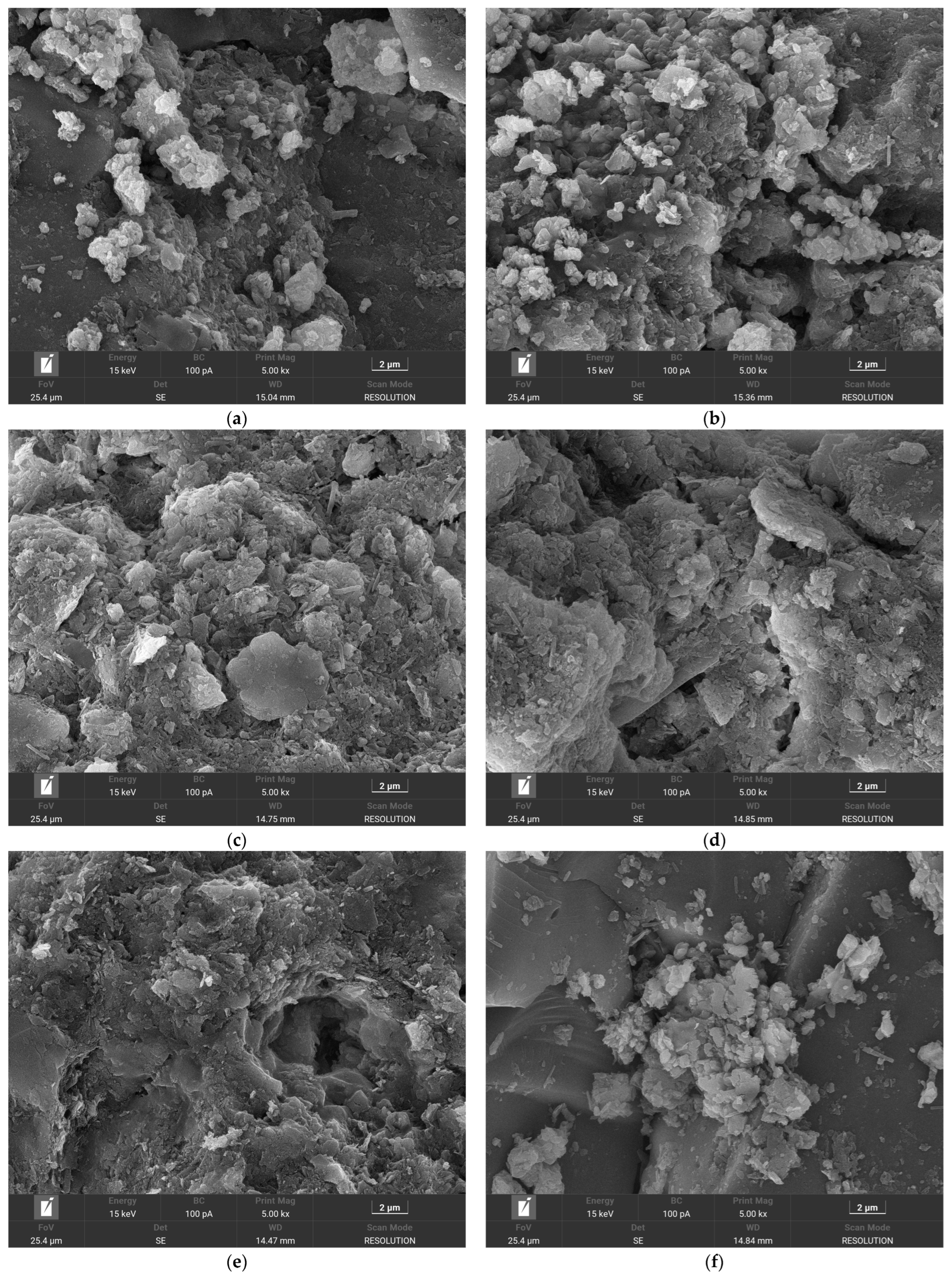 Coatings 15 01351 g0a2a