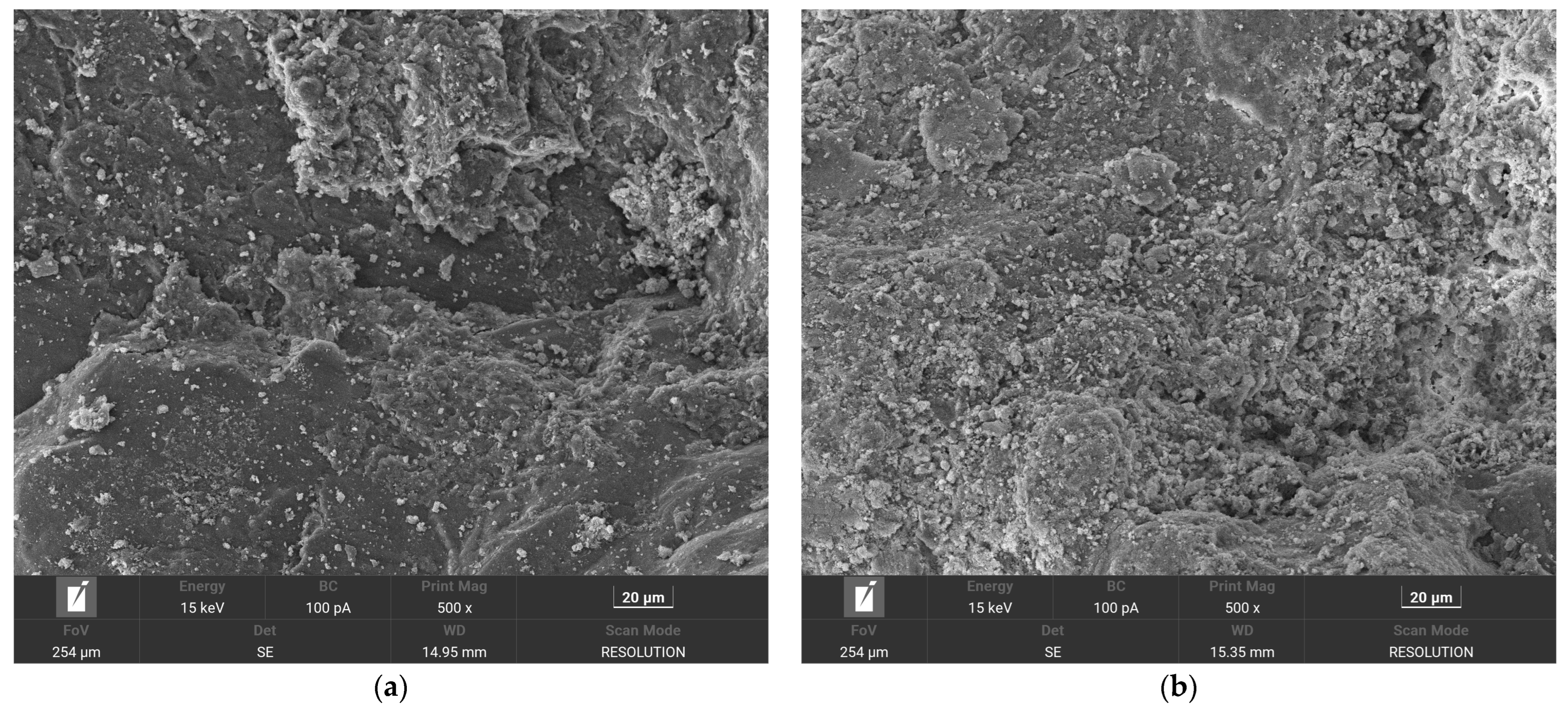 Coatings 15 01351 g0a3a