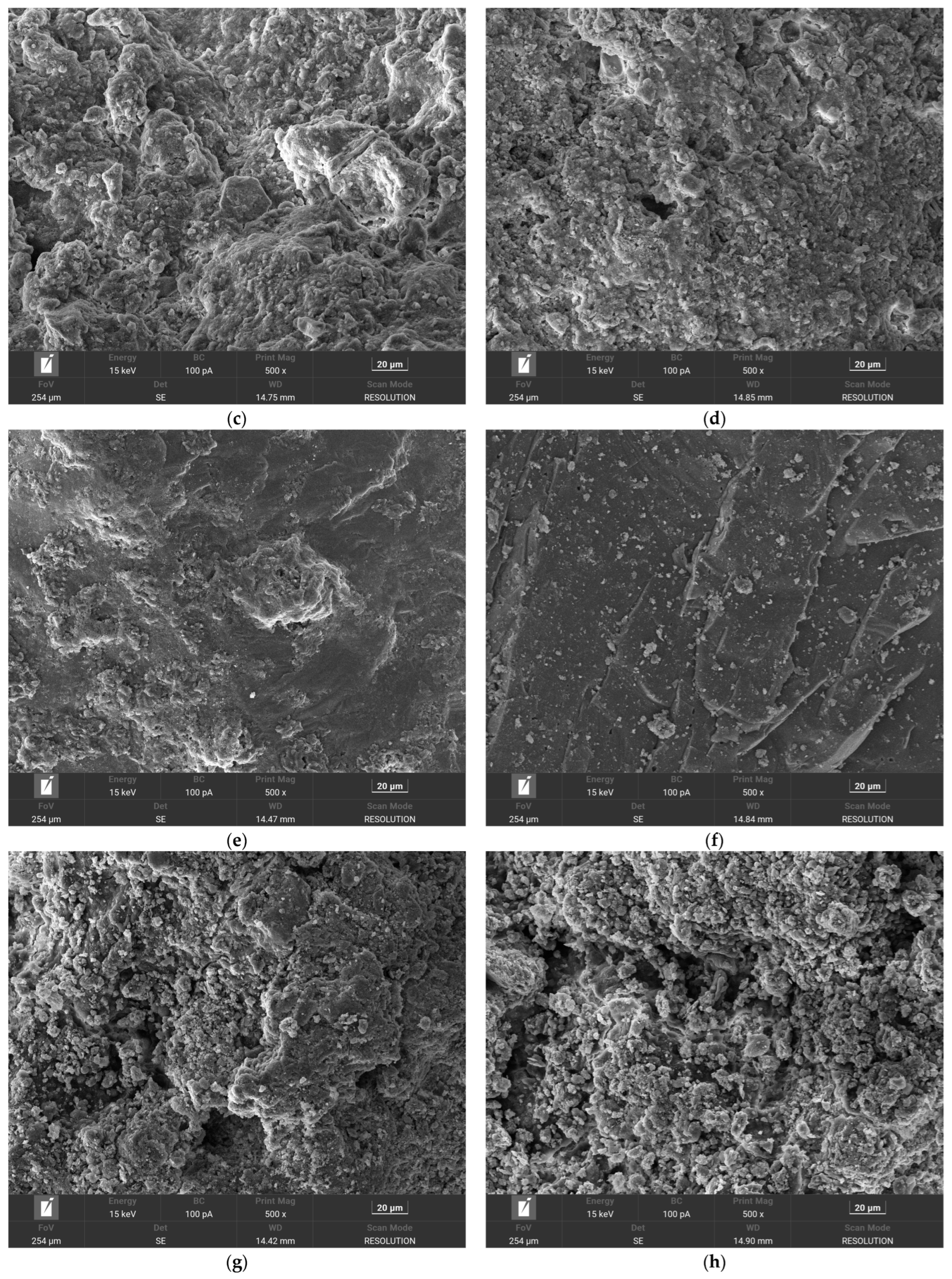 Coatings 15 01351 g0a3b