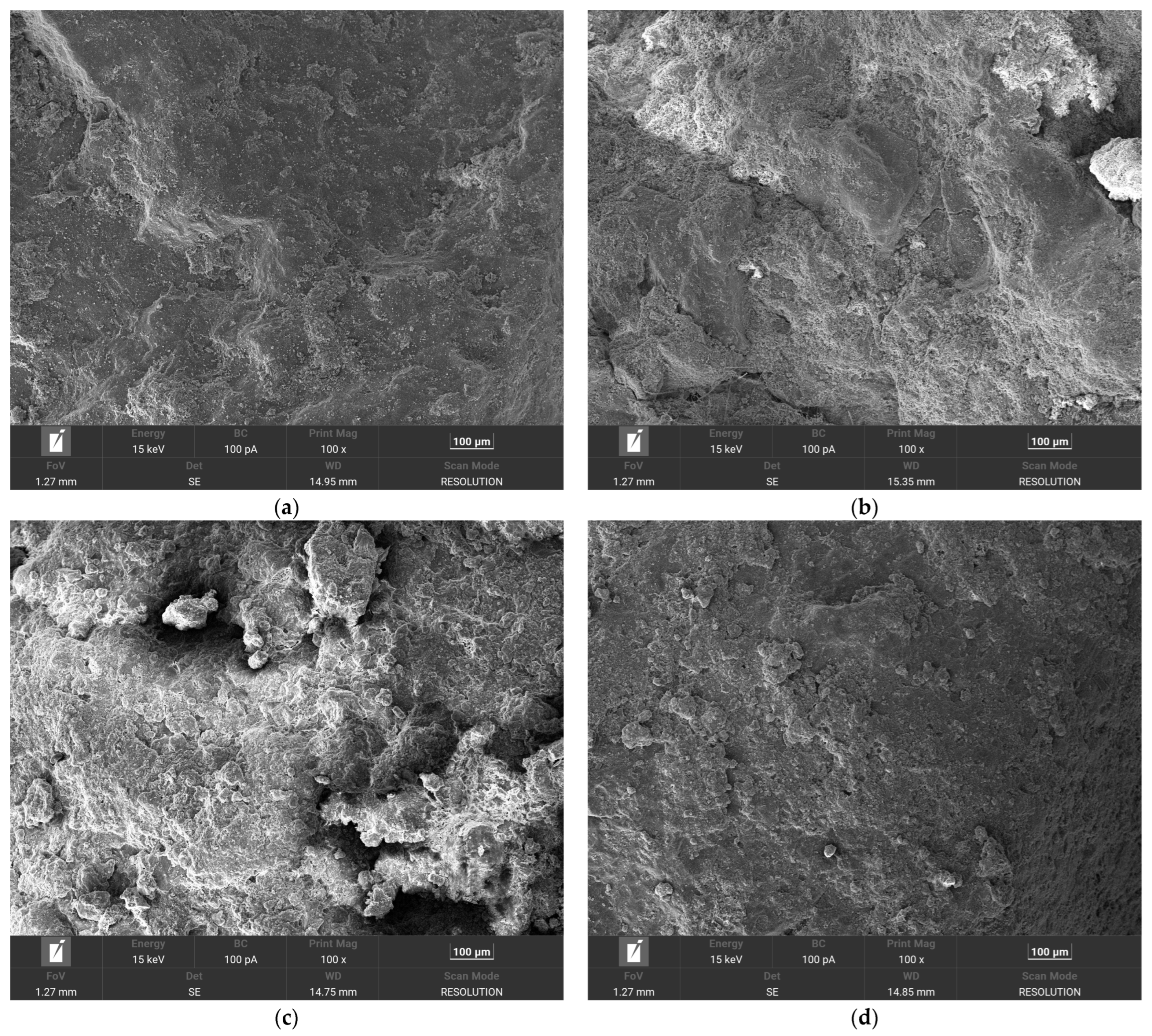 Coatings 15 01351 g0a4a