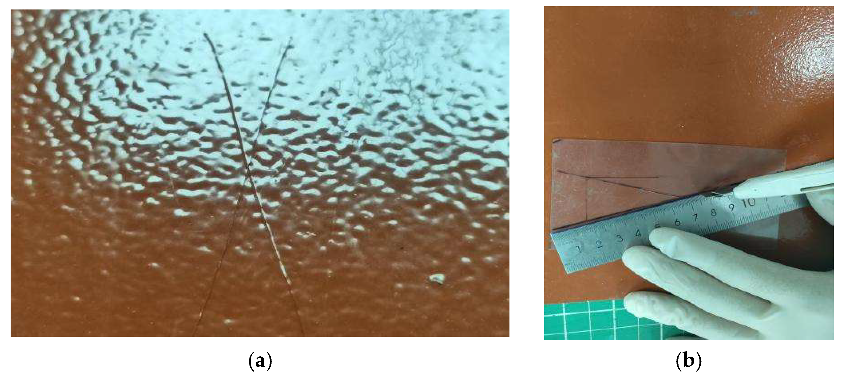 Coatings 15 01353 g003