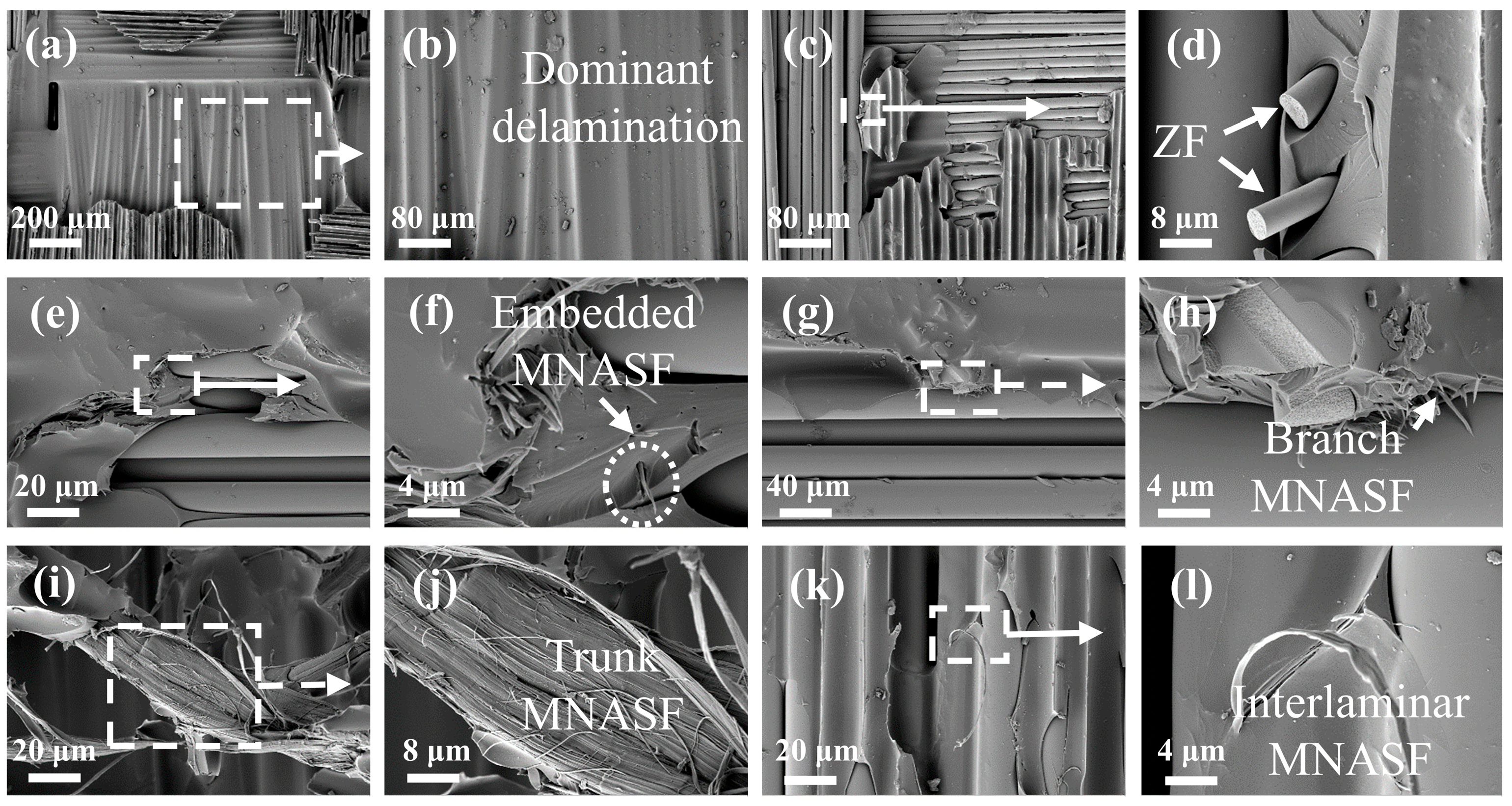 Coatings 15 01356 g008