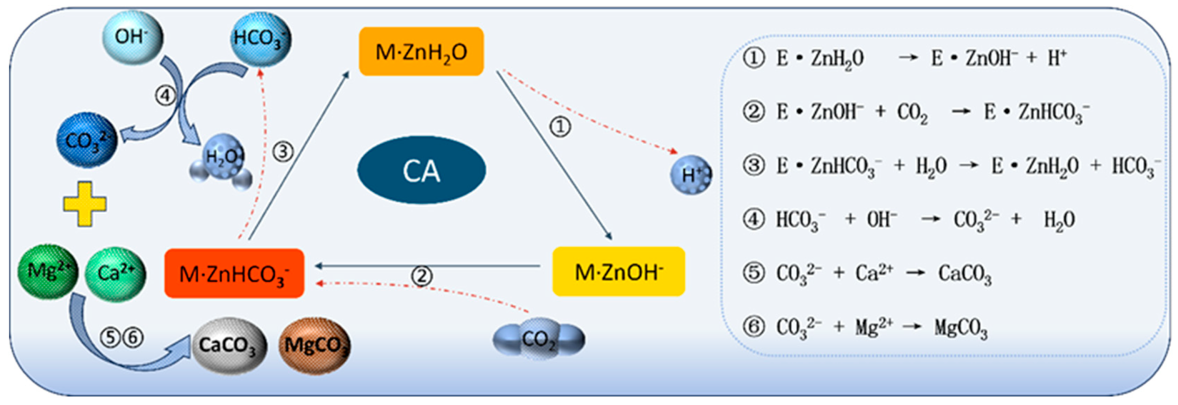 Coatings 15 01358 g001