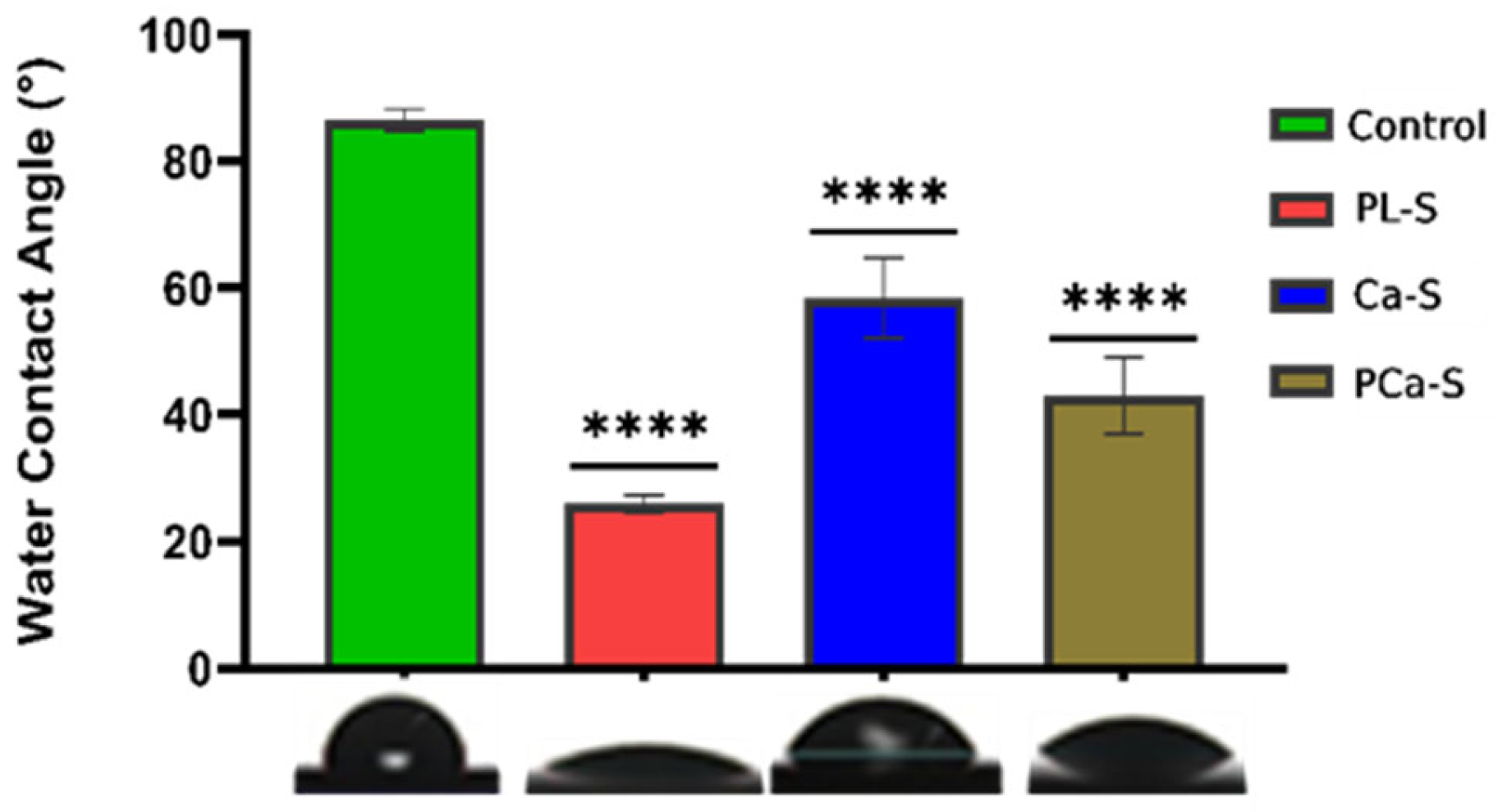 Coatings 15 01359 g001
