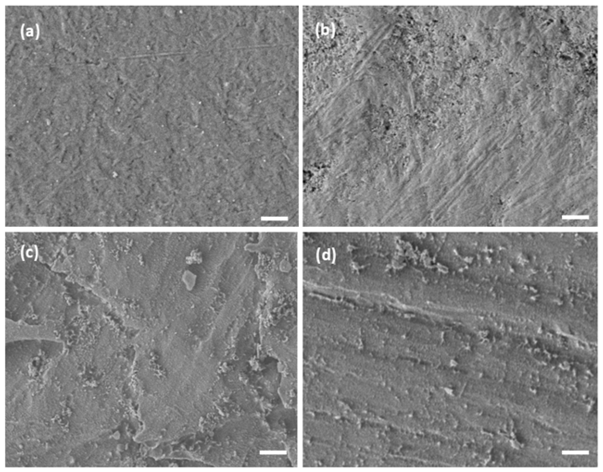 Coatings 15 01359 g003