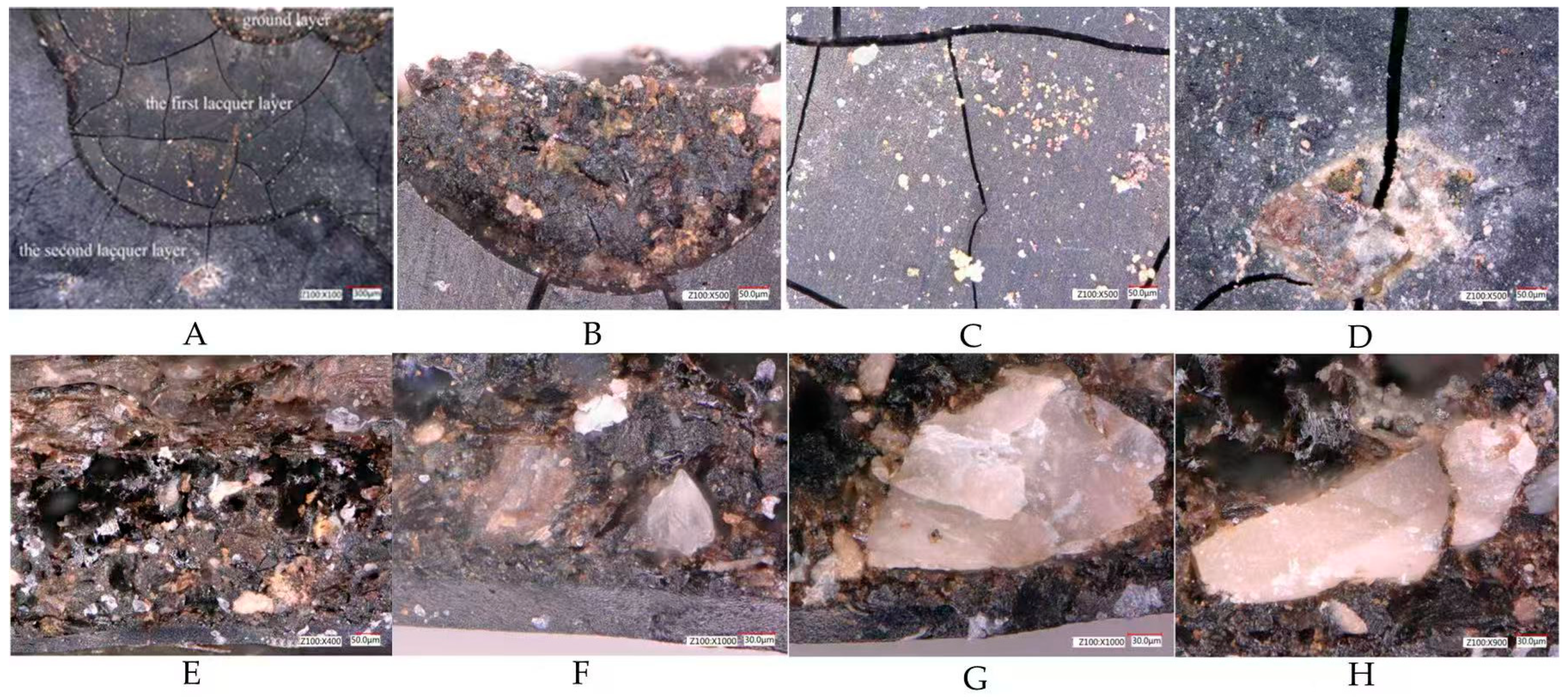 Coatings 15 01361 g004