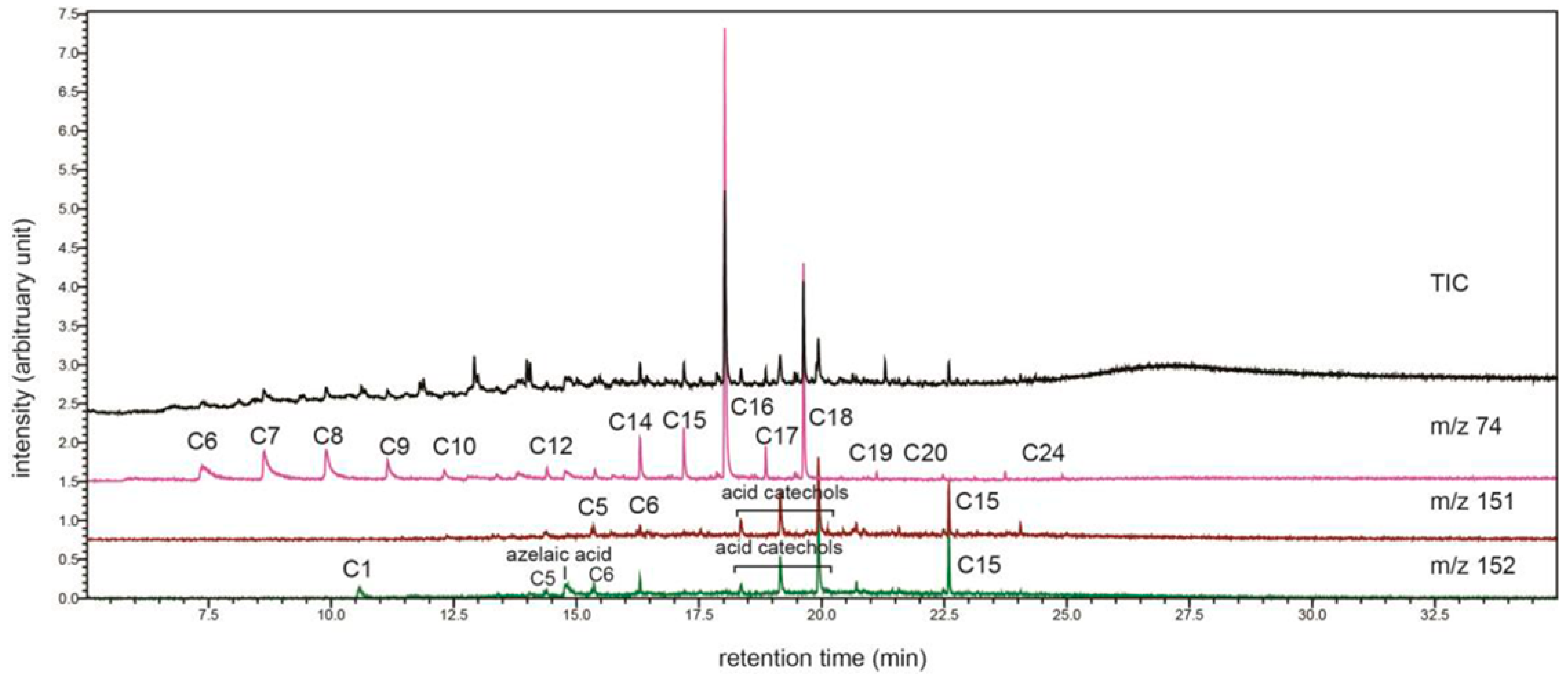 Coatings 15 01361 g006