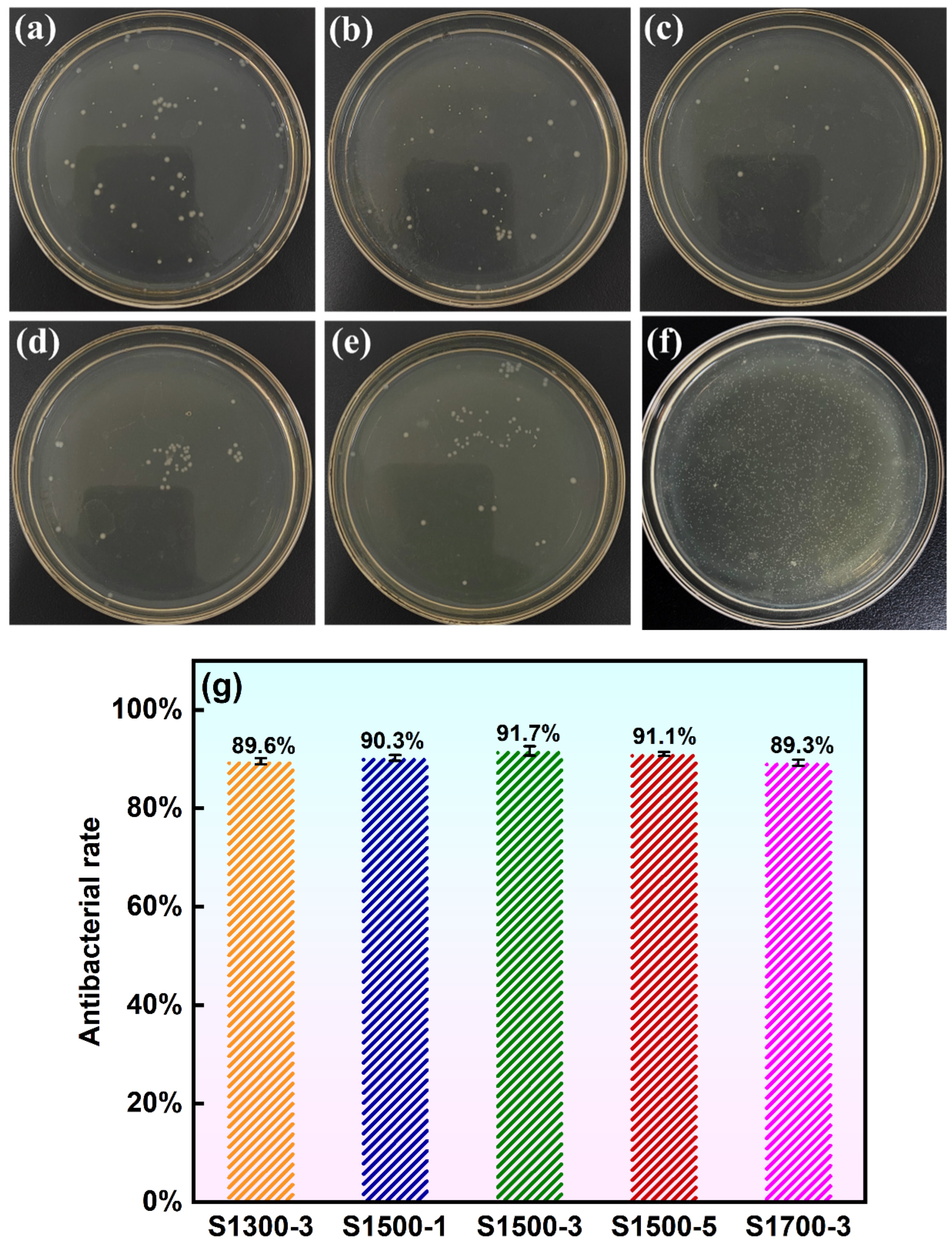 Coatings 15 01362 g013