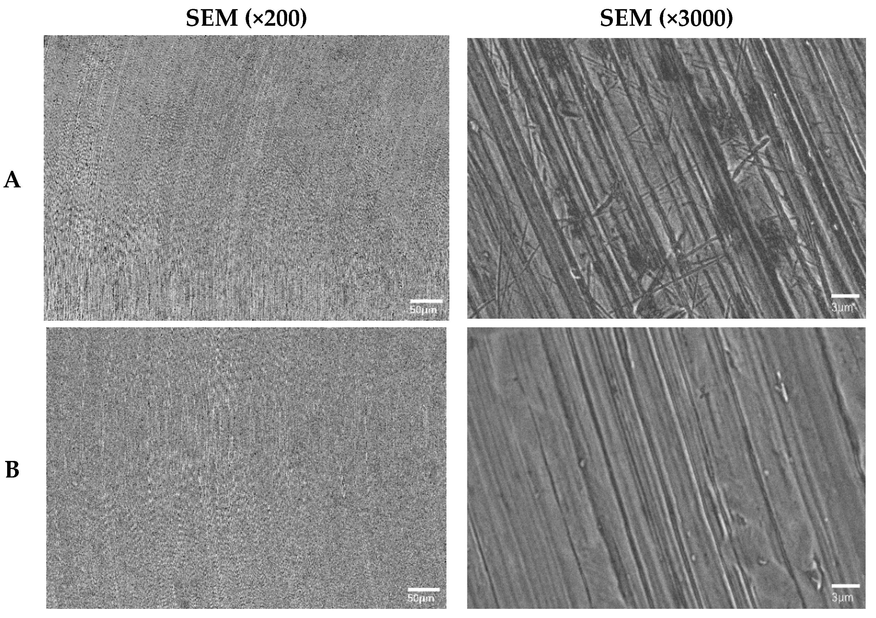 Coatings 15 01364 g002a
