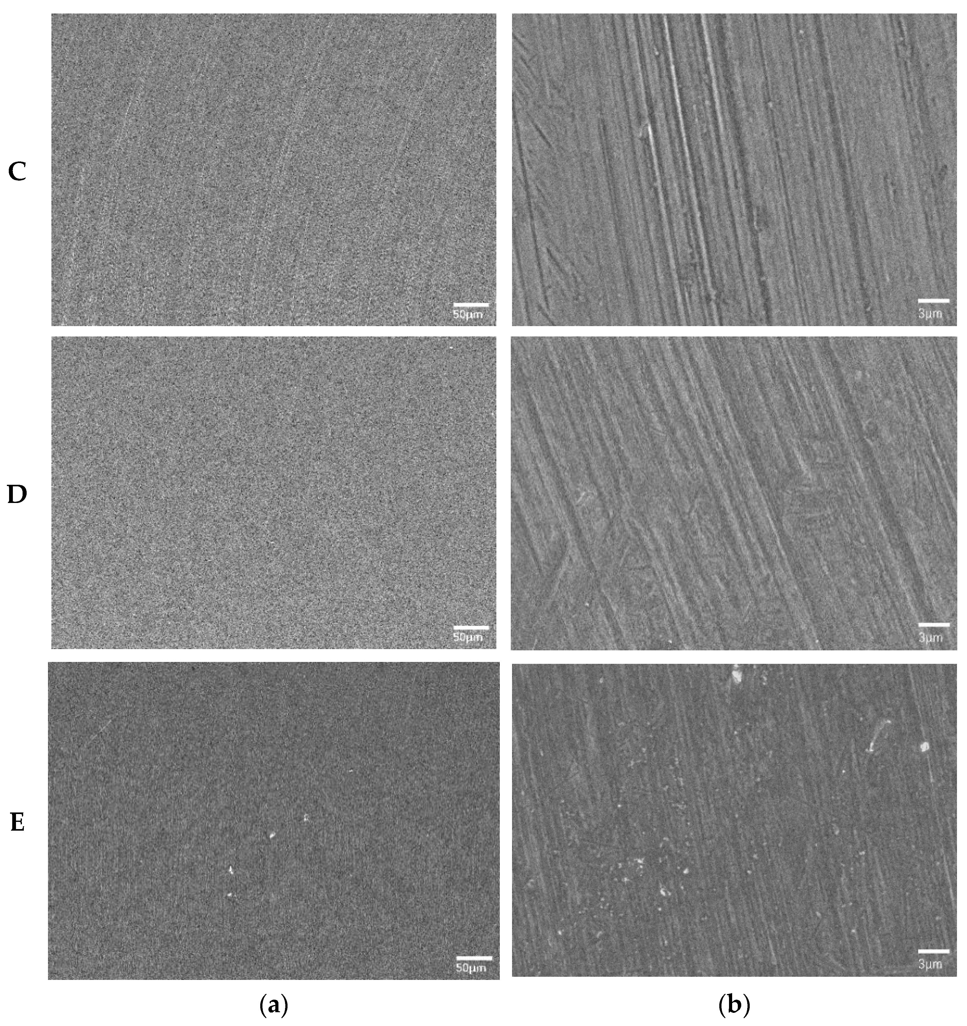 Coatings 15 01364 g002b
