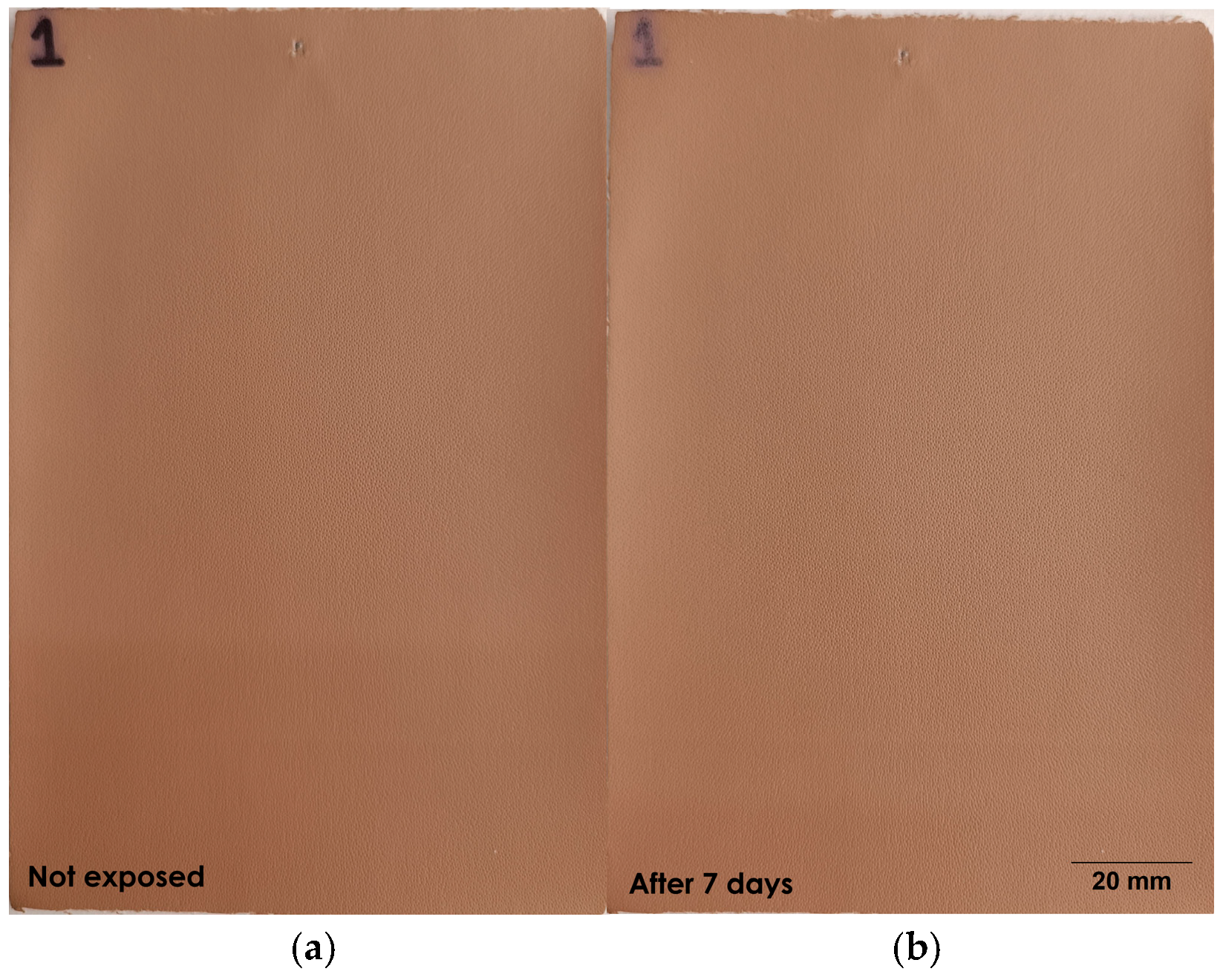 Coatings 15 01365 g005 Coatings 15 01365 g005