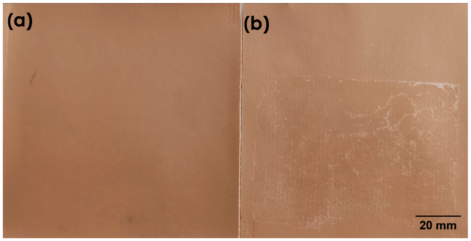 Coatings 15 01365 g010 Coatings 15 01365 g010