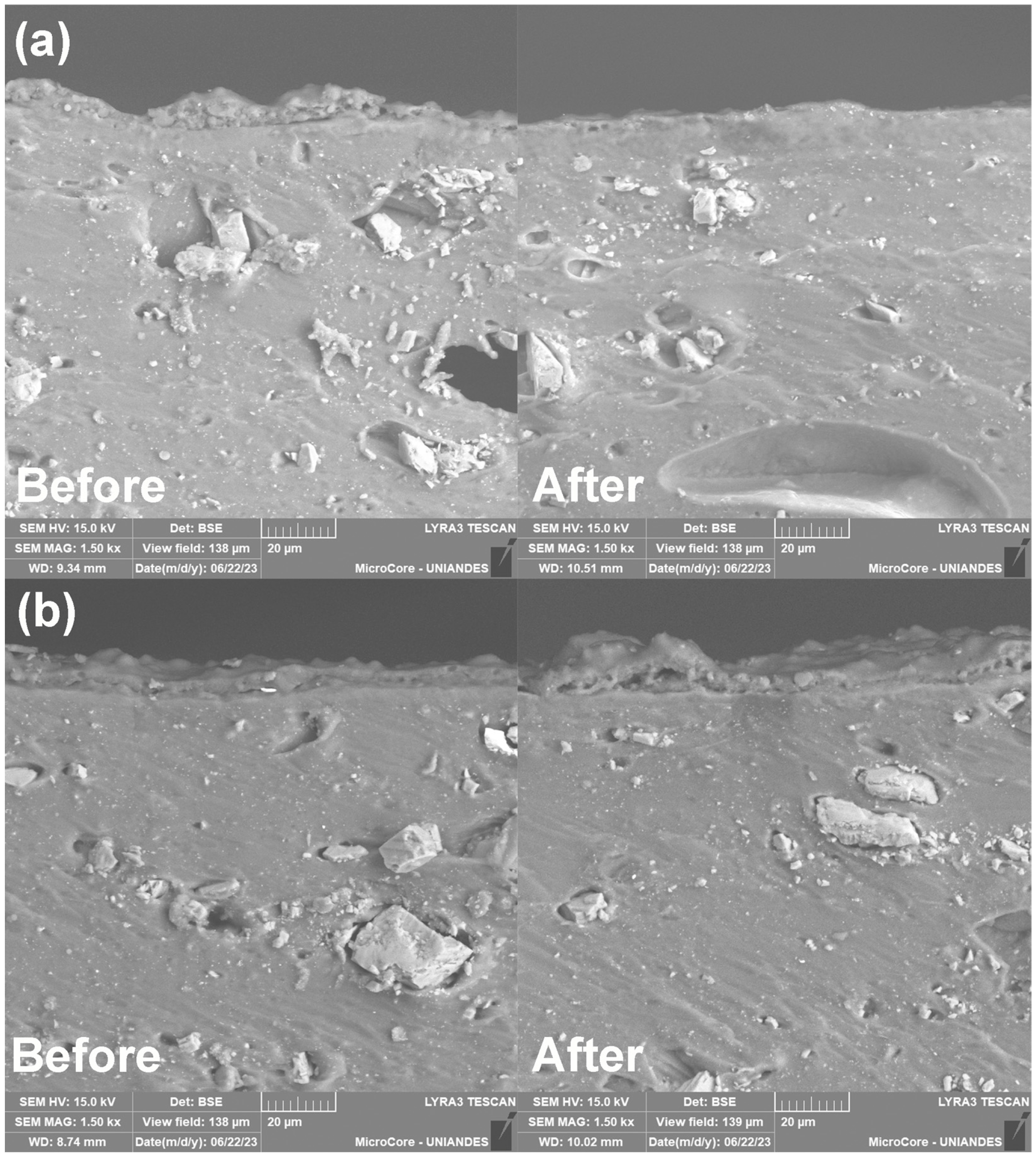 Coatings 15 01365 g014 Coatings 15 01365 g014