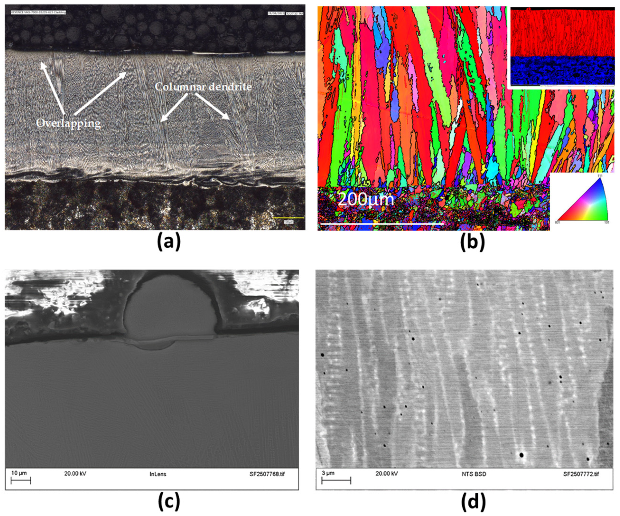 Coatings 15 01366 g003