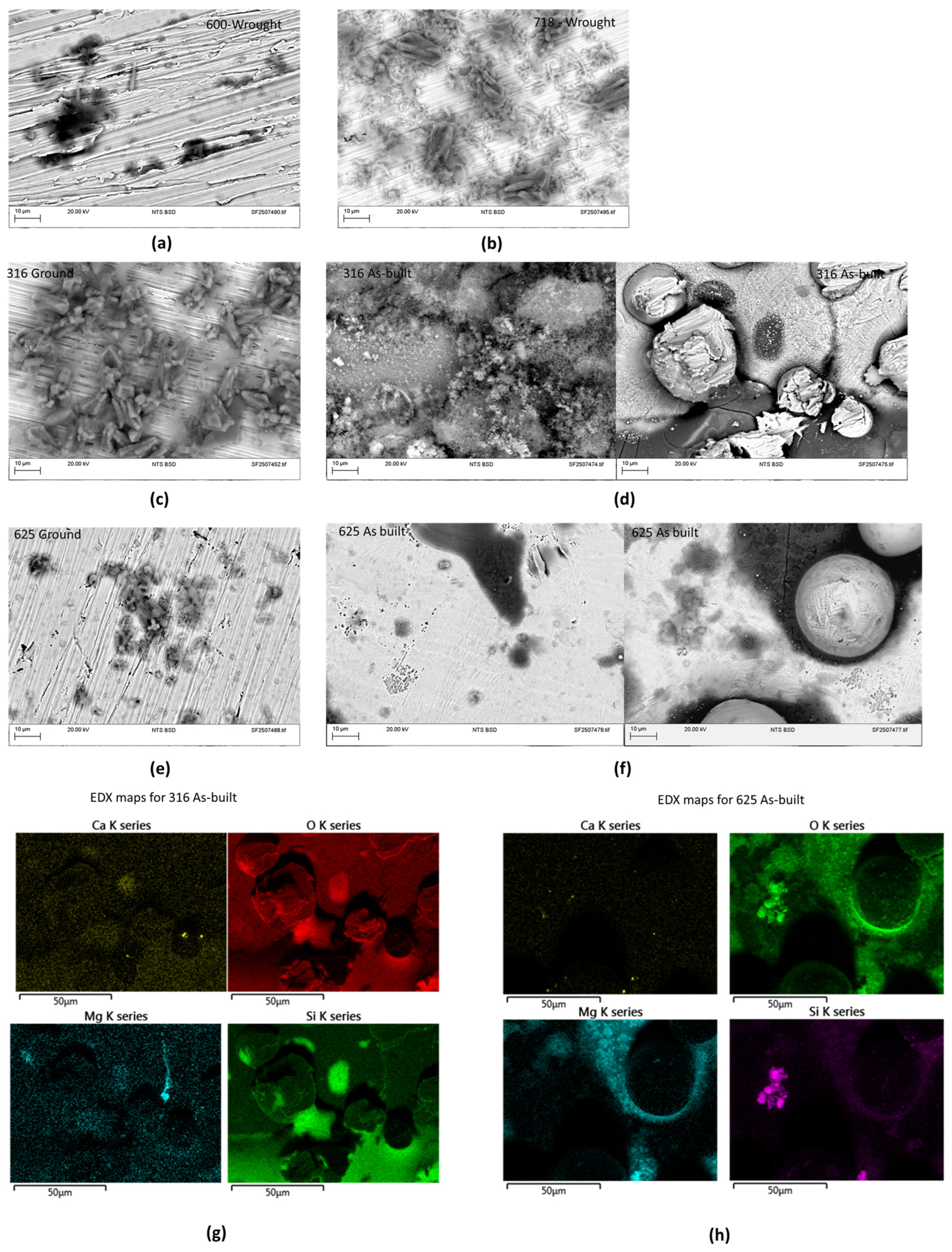 Coatings 15 01366 g006