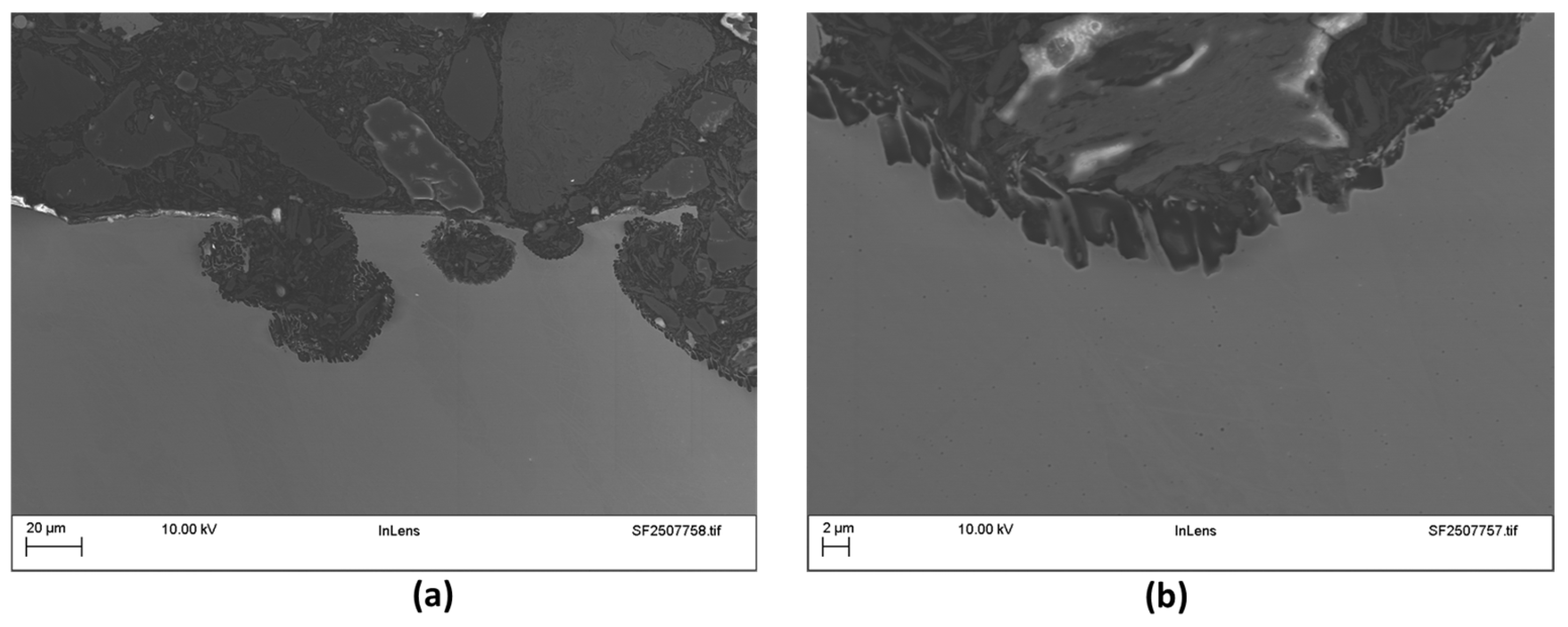 Coatings 15 01366 g008