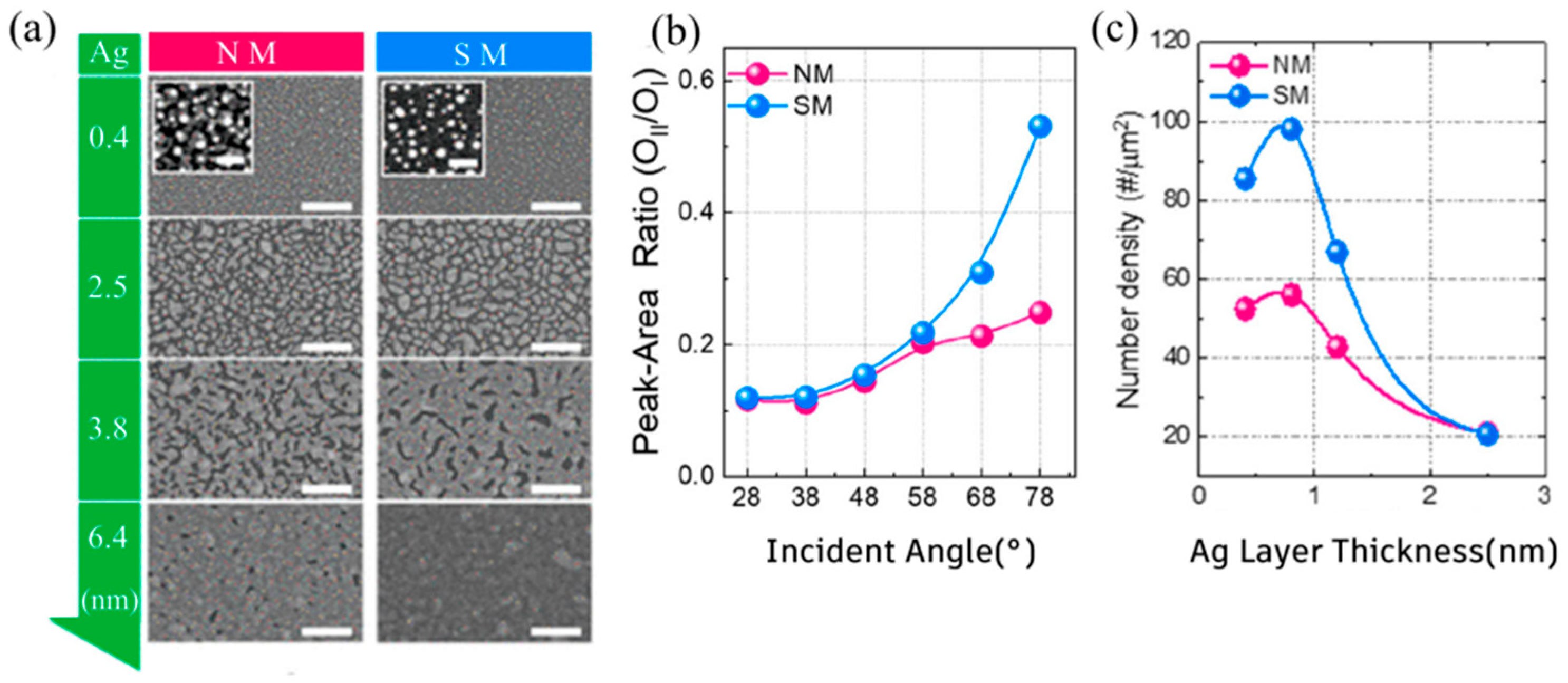 Coatings 15 01370 g006 Coatings 15 01370 g006