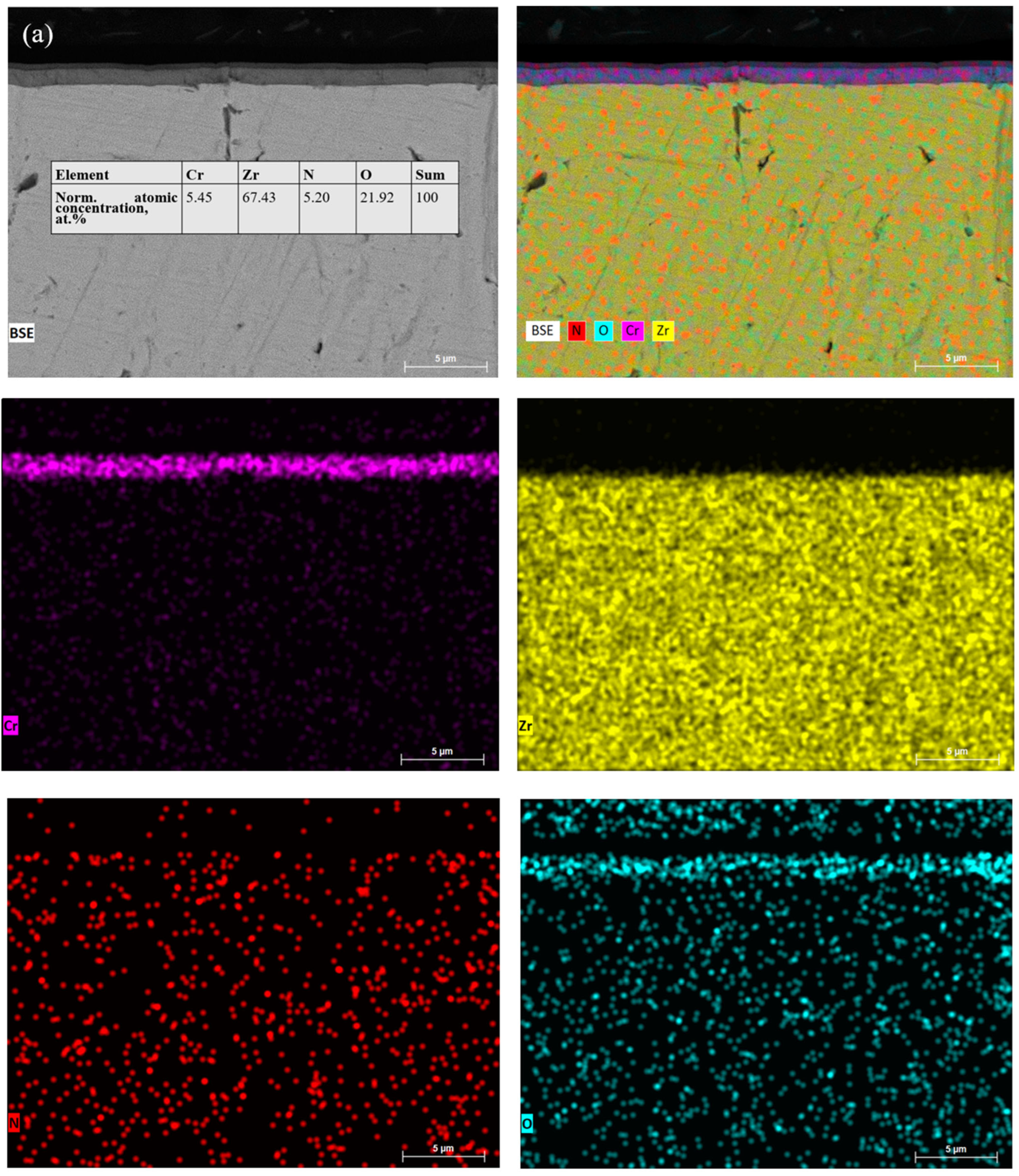 Coatings 15 01375 g004a