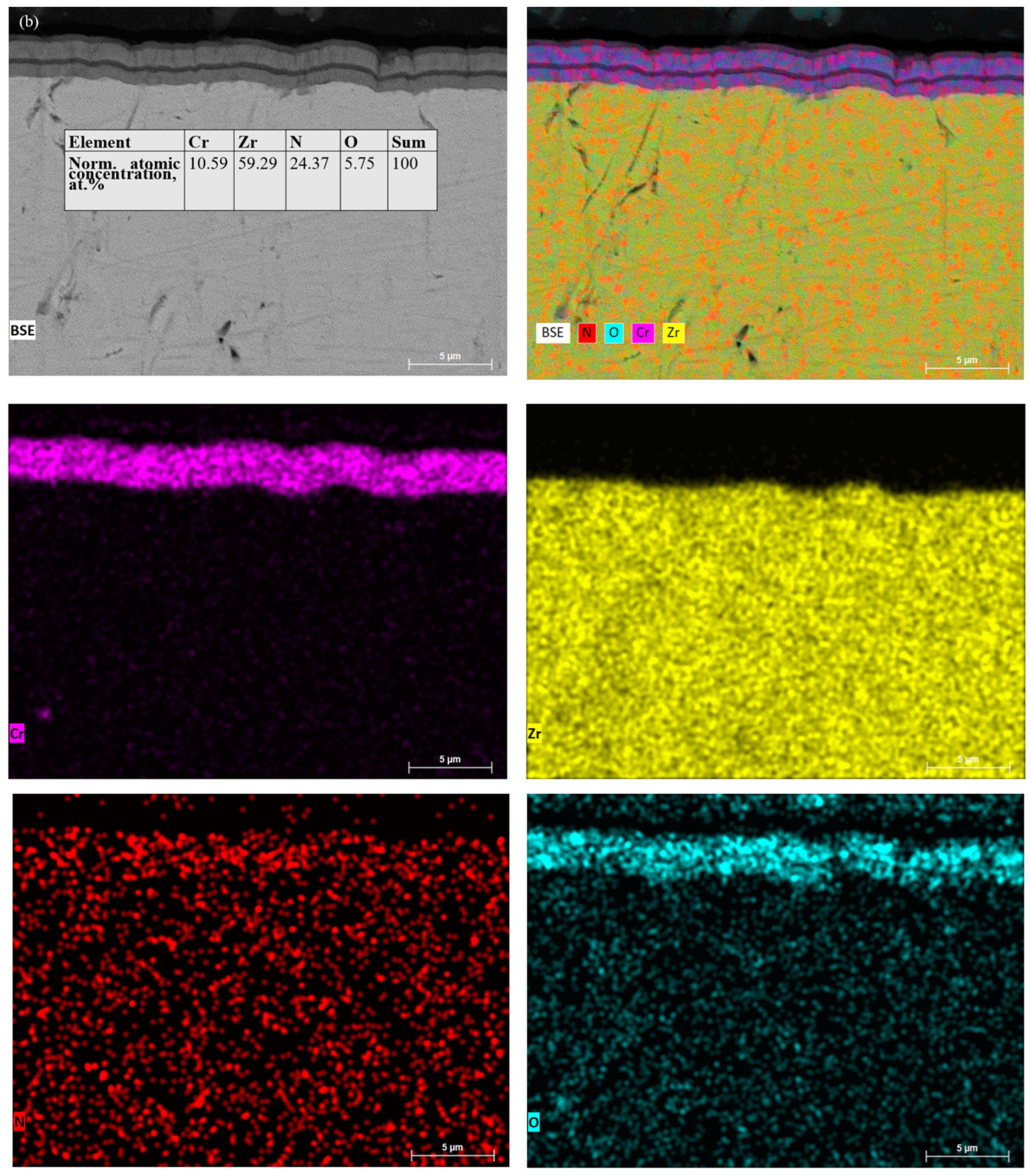 Coatings 15 01375 g004b