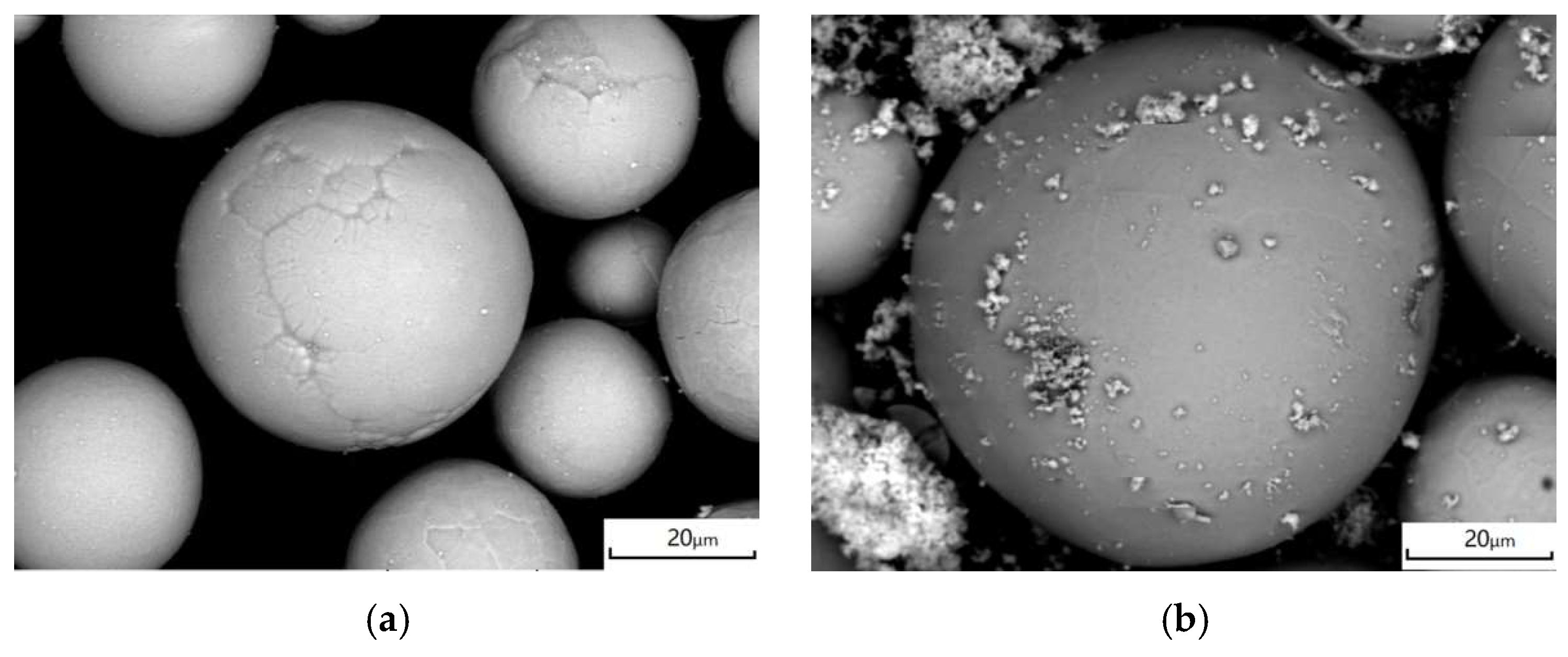 Coatings 15 01380 g001a Coatings 15 01380 g001a