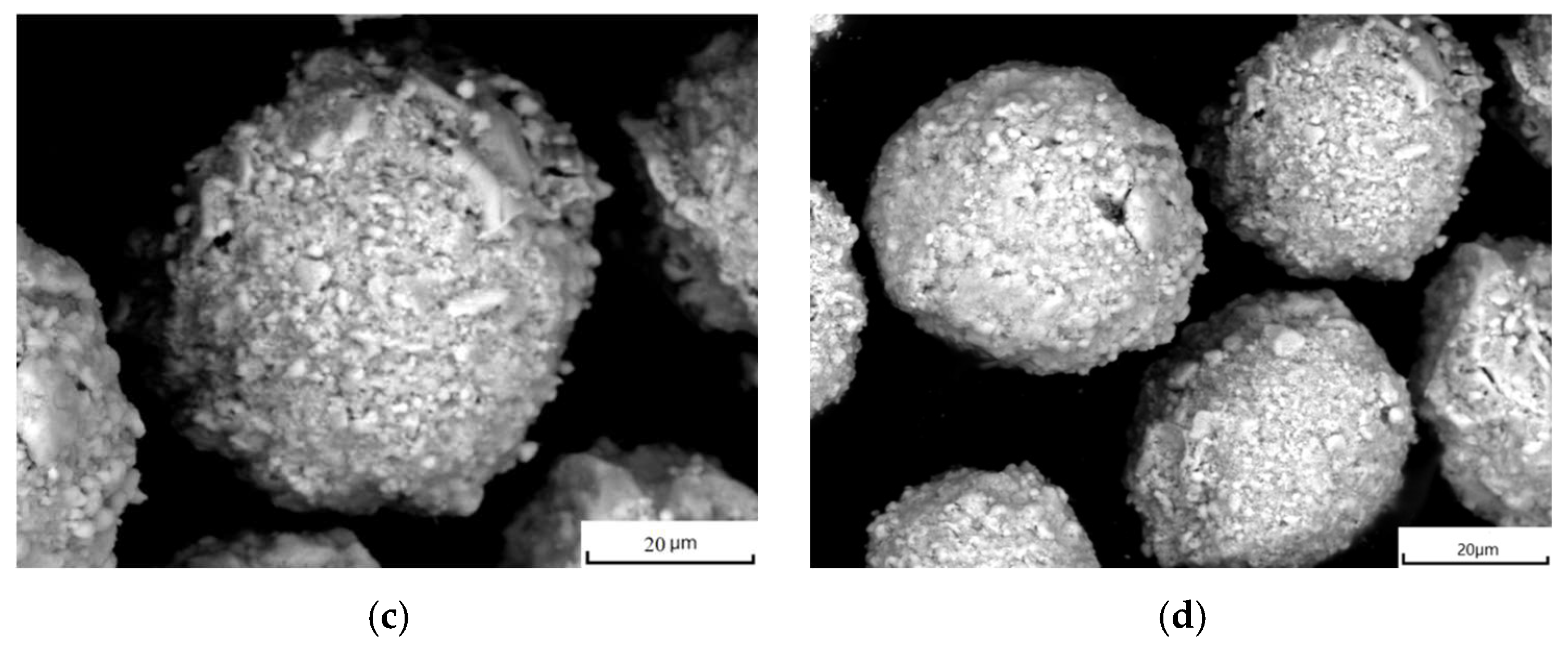 Coatings 15 01380 g001b Coatings 15 01380 g001b