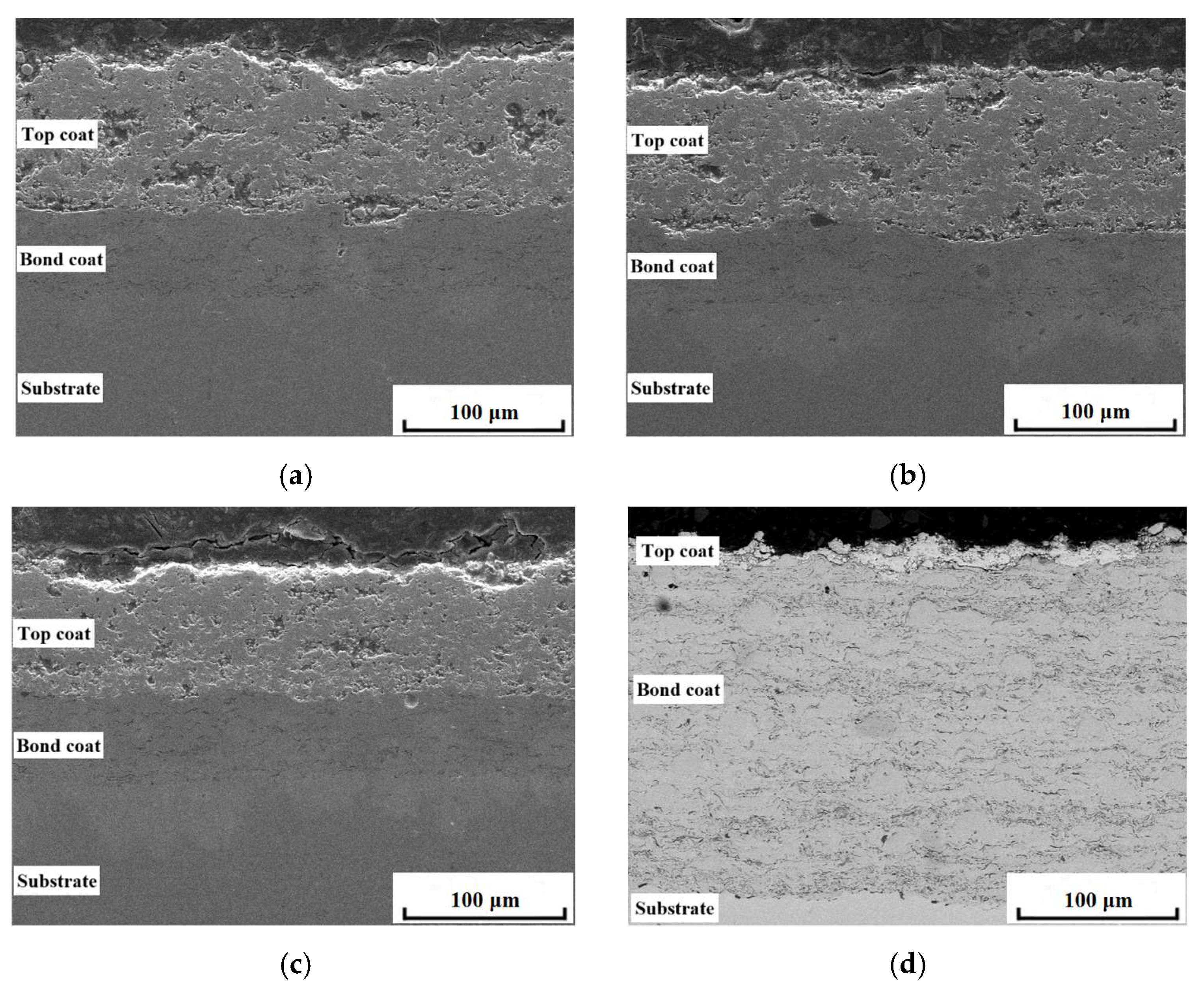 Coatings 15 01380 g002 Coatings 15 01380 g002