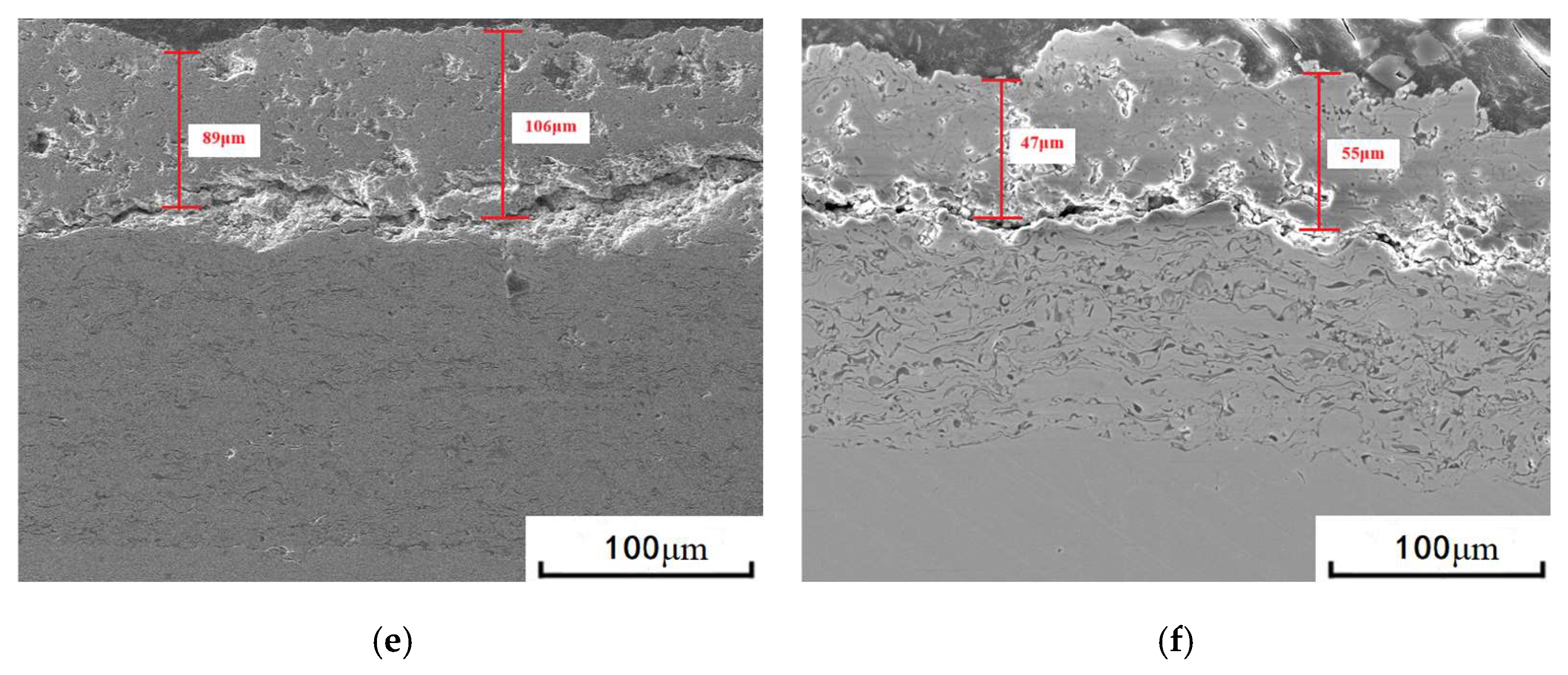 Coatings 15 01380 g003b Coatings 15 01380 g003b