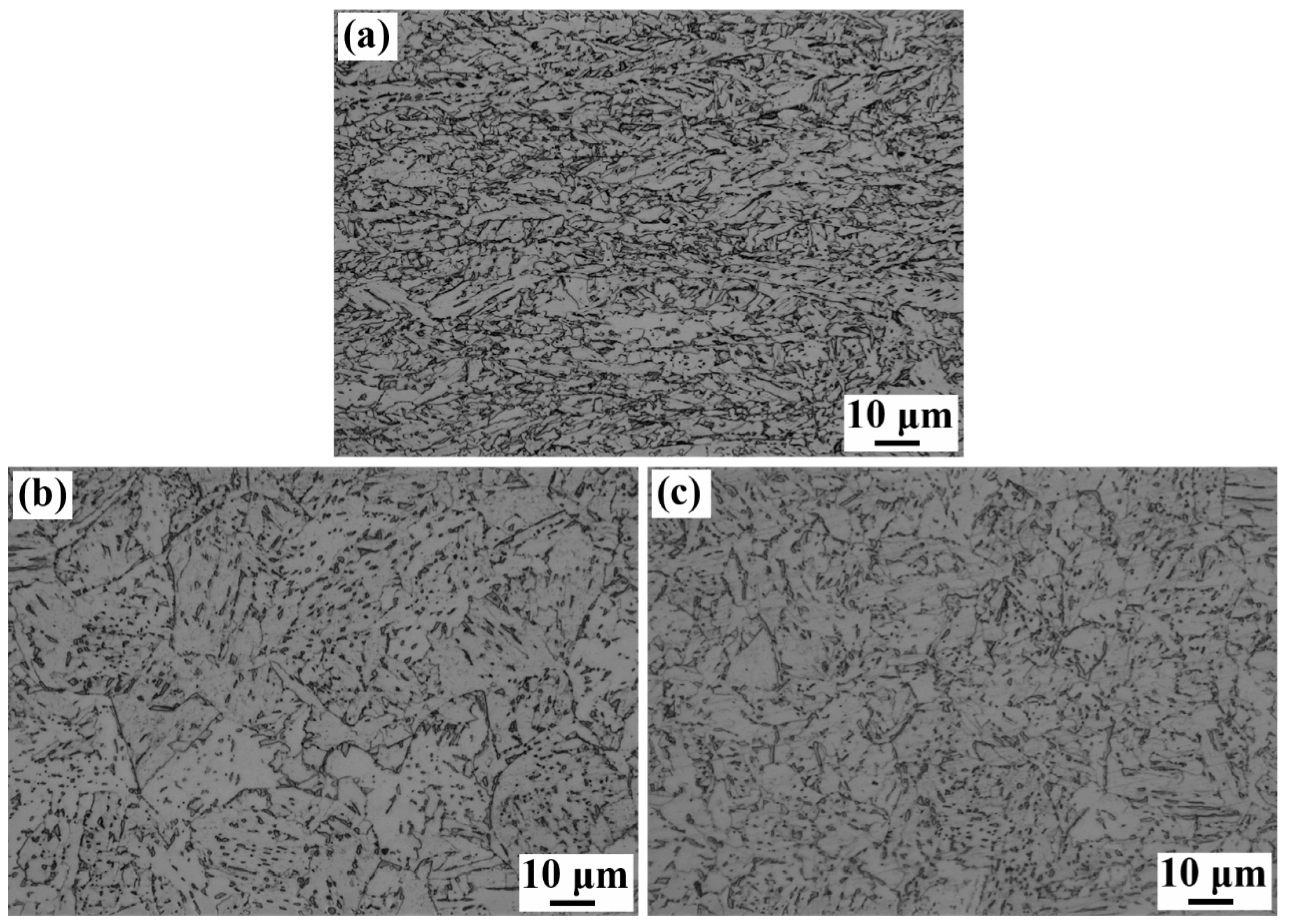 Coatings 15 01384 g002 Coatings 15 01384 g002