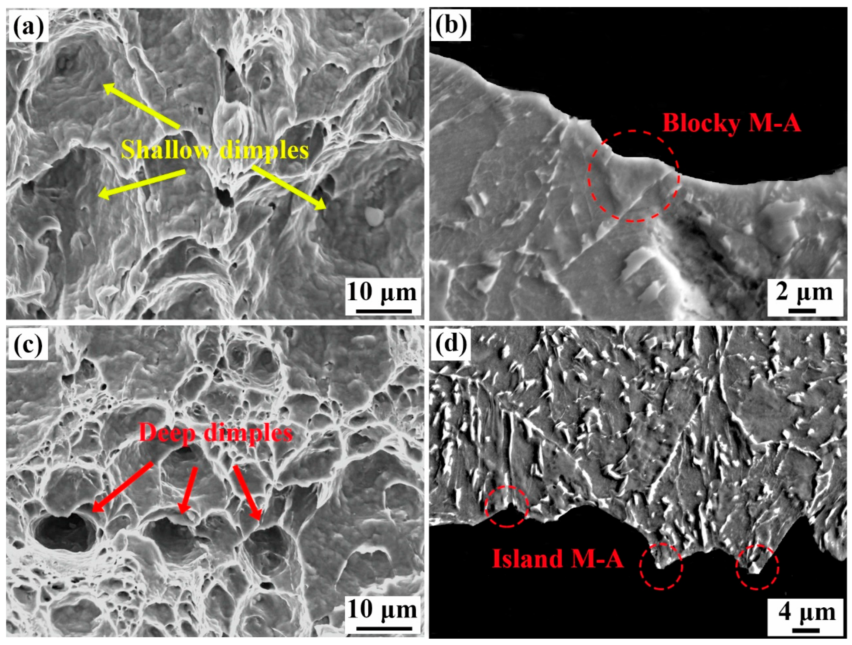 Coatings 15 01384 g009 Coatings 15 01384 g009