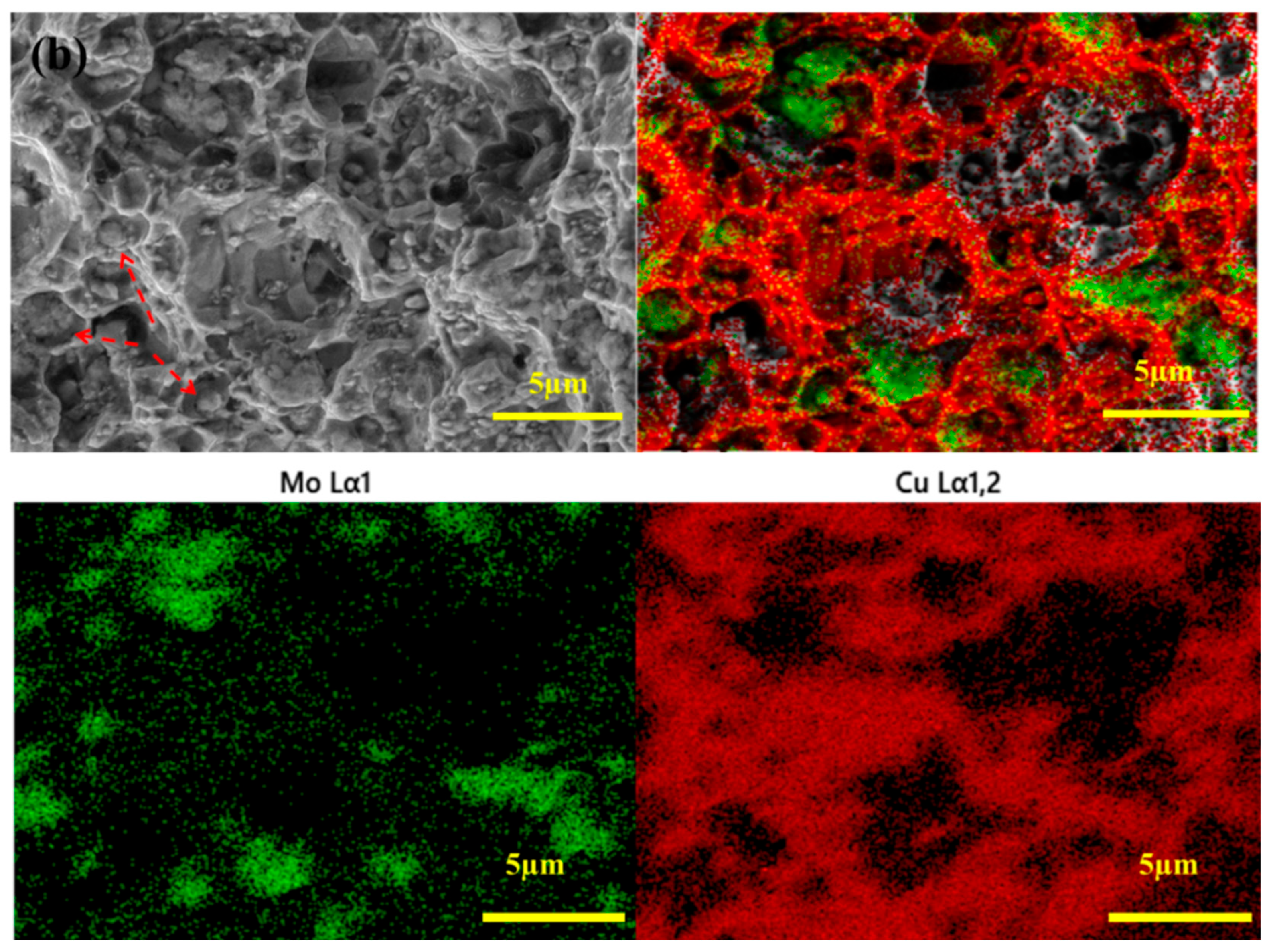 Coatings 15 01387 g010b