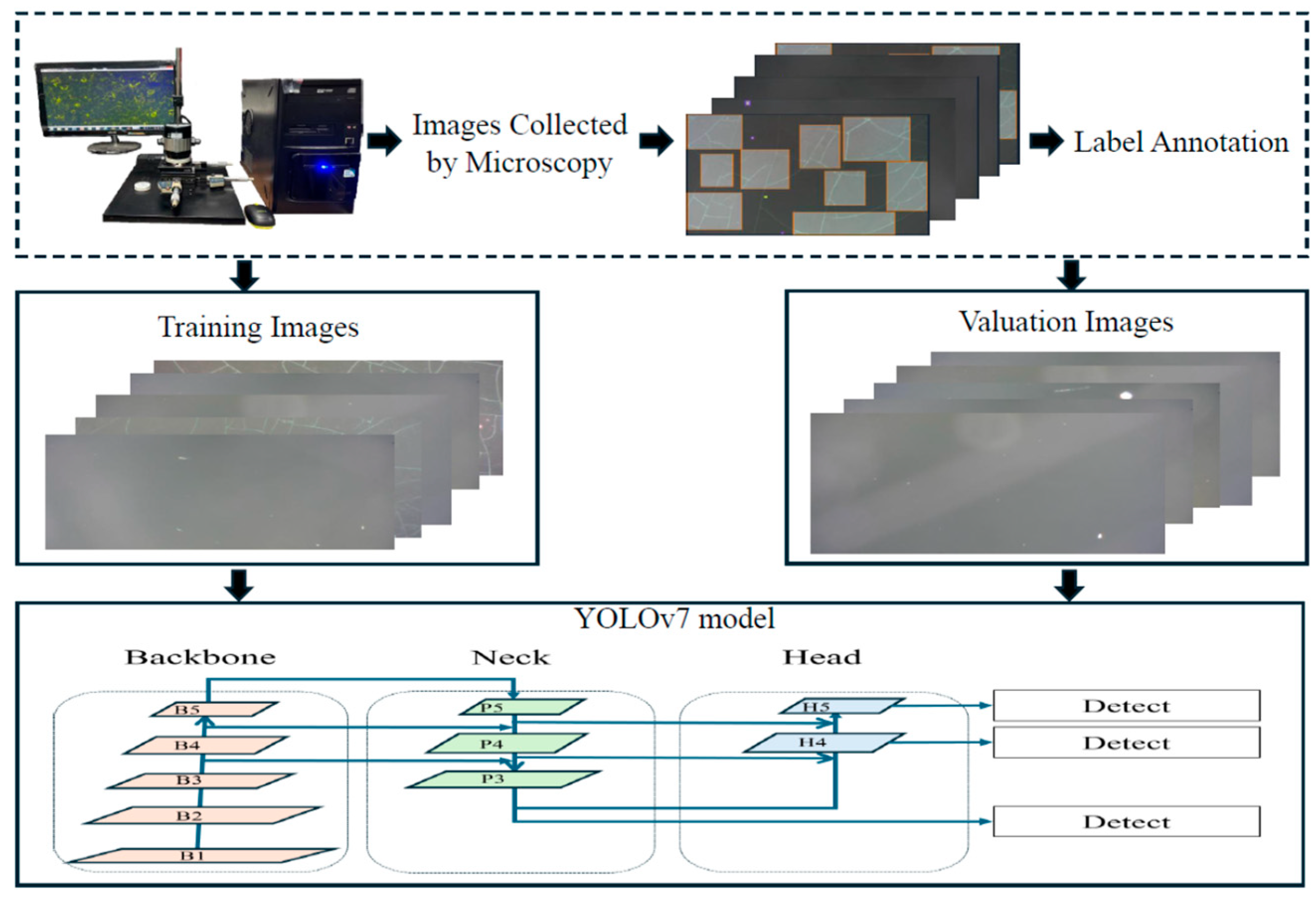 Coatings 15 01390 g001