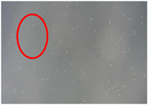 Coatings 15 01390 i002