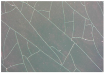 Coatings 15 01390 i004