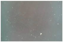 Coatings 15 01390 i006