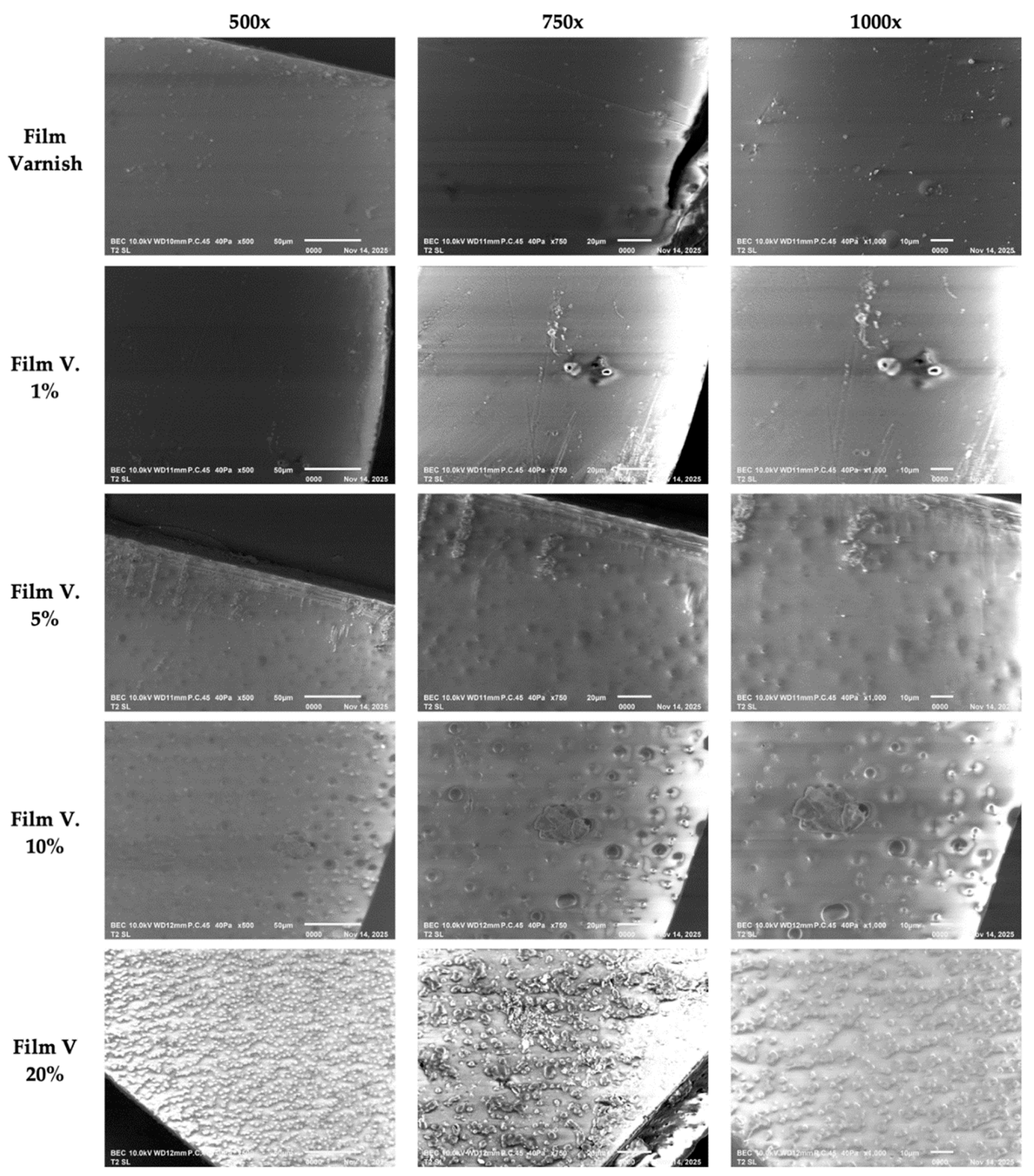 Coatings 15 01393 g004