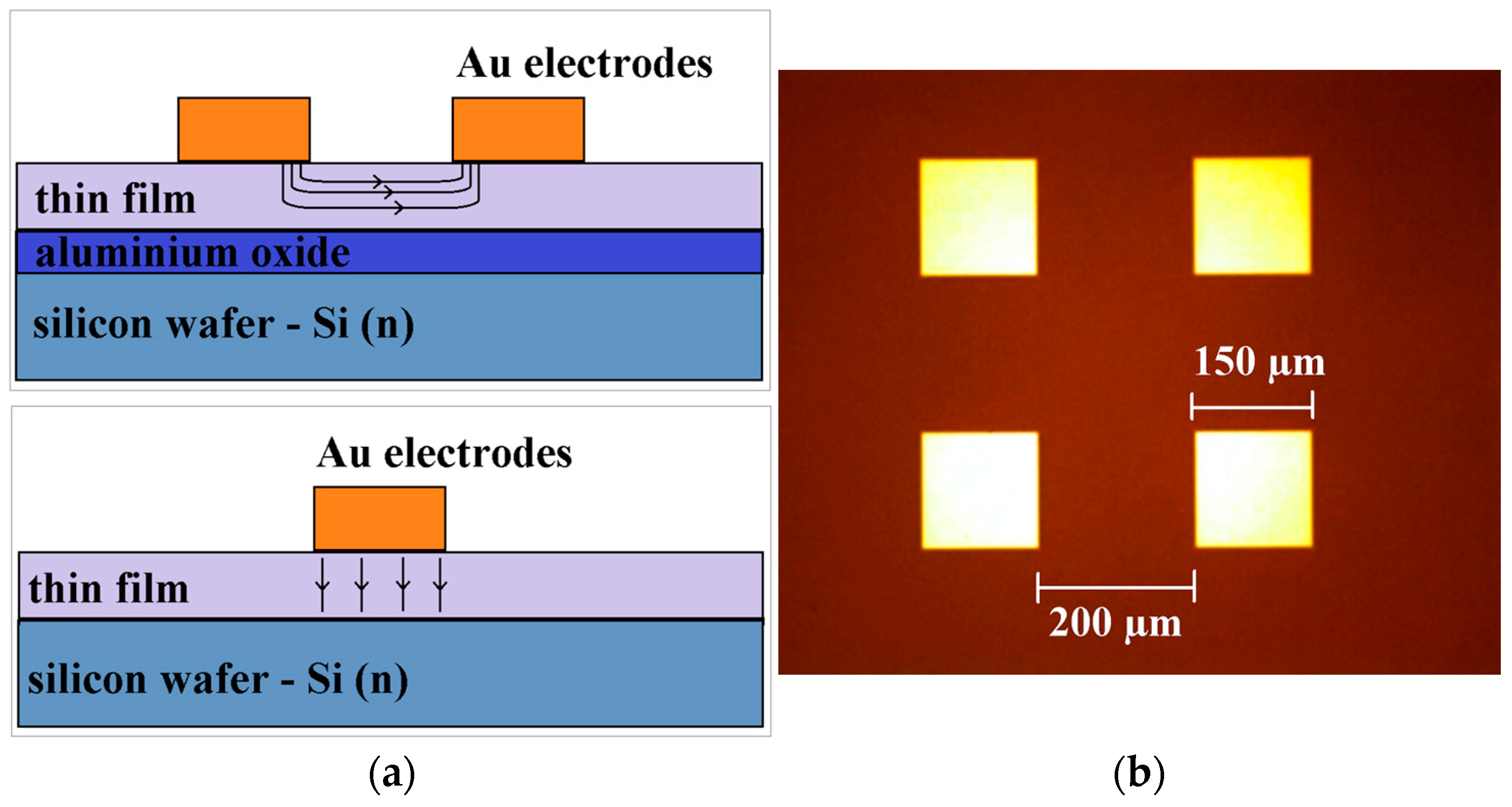 Coatings 15 01396 g002