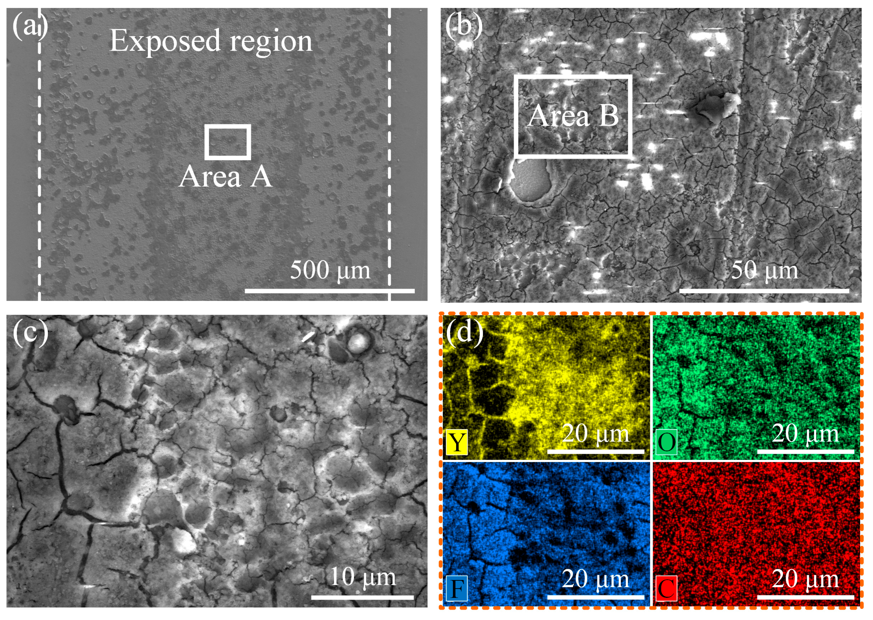 Coatings 15 01397 g019