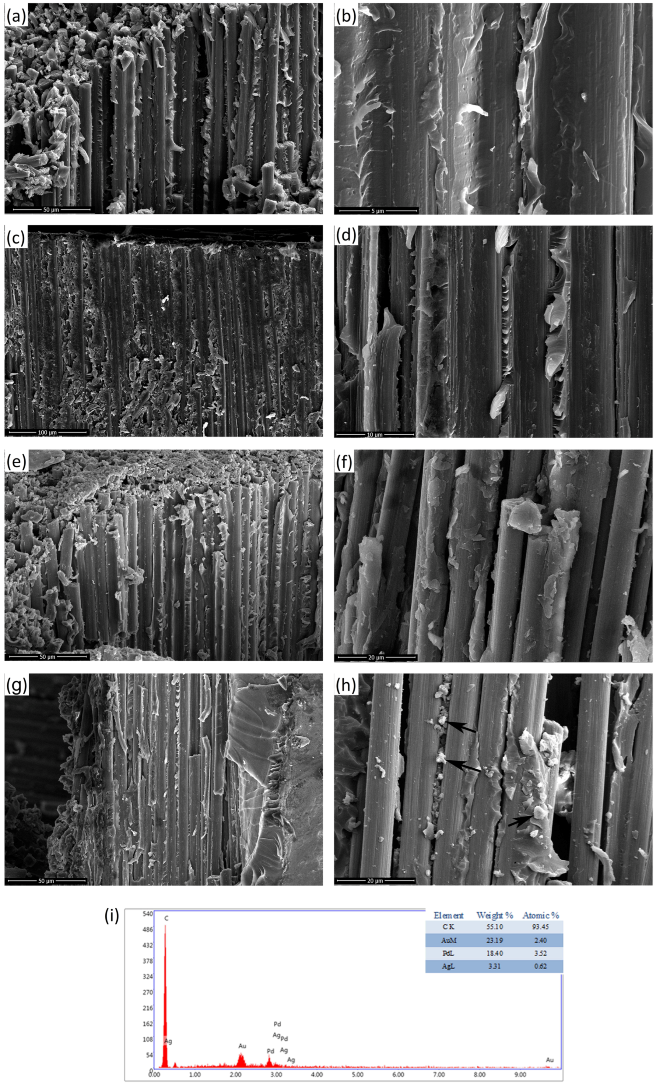 Coatings 15 01404 g003