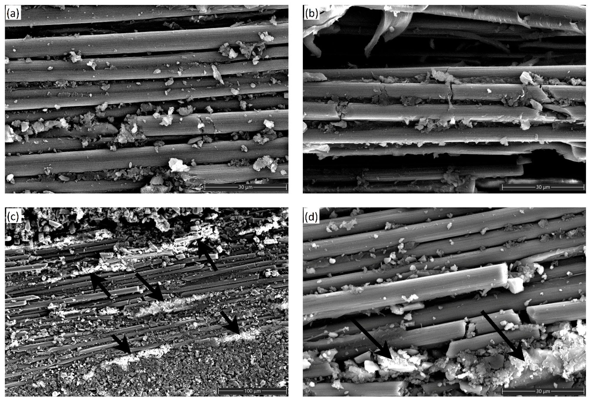 Coatings 15 01404 g006