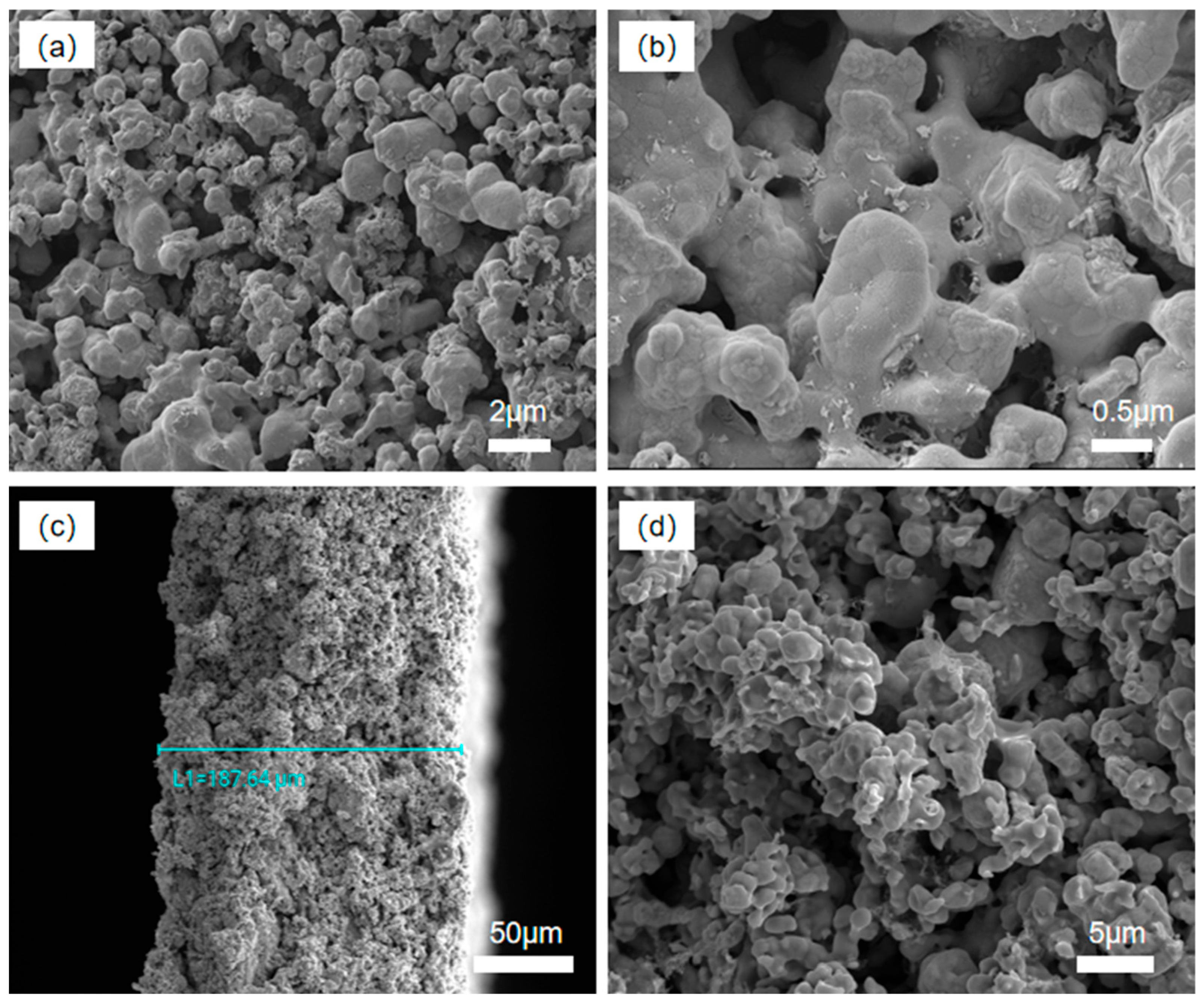 Coatings 15 01409 g002