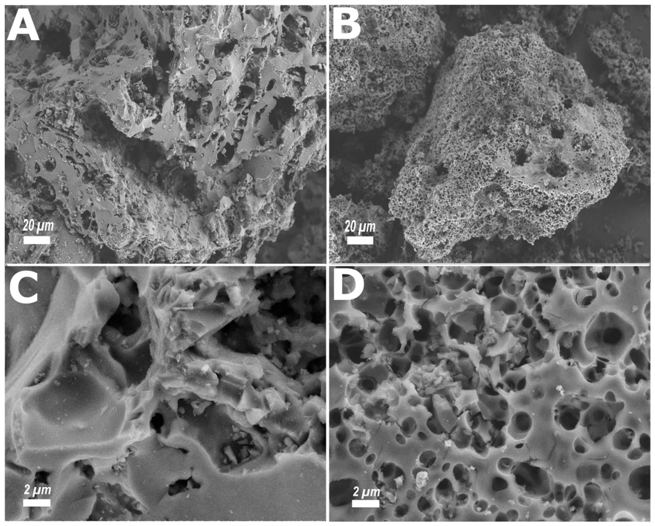 Coatings 15 01414 g002