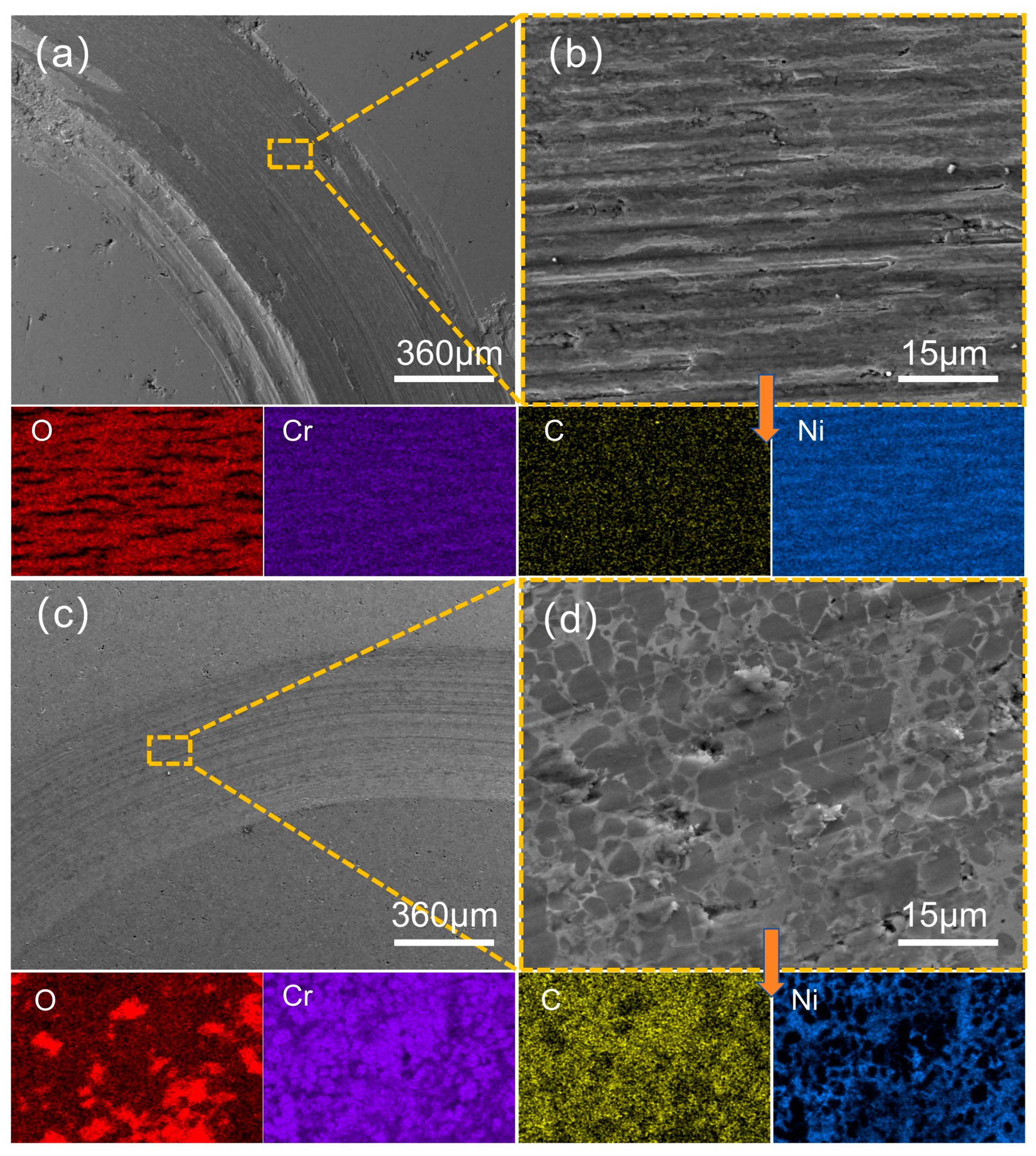 Coatings 15 01415 g013