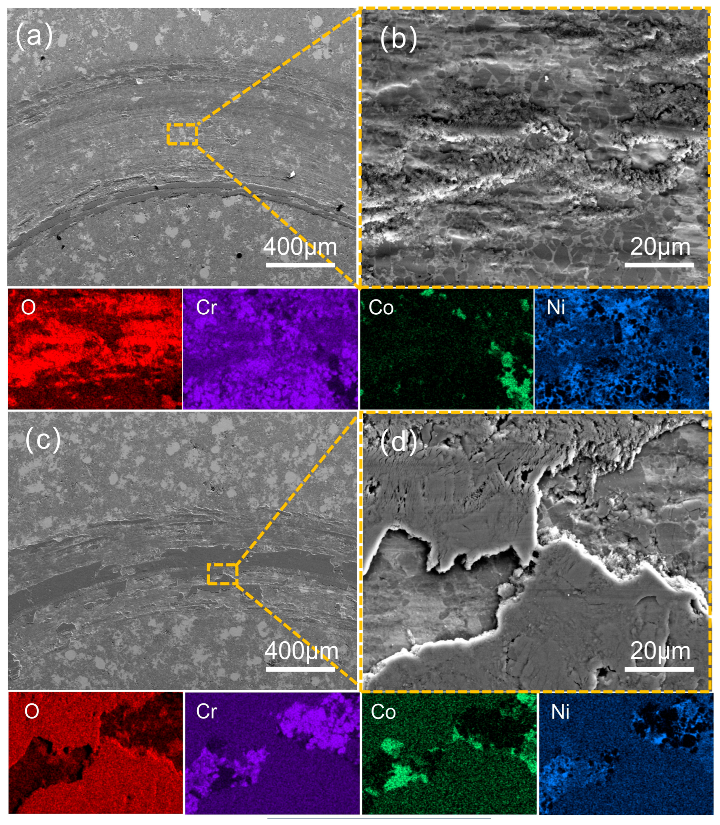 Coatings 15 01415 g017