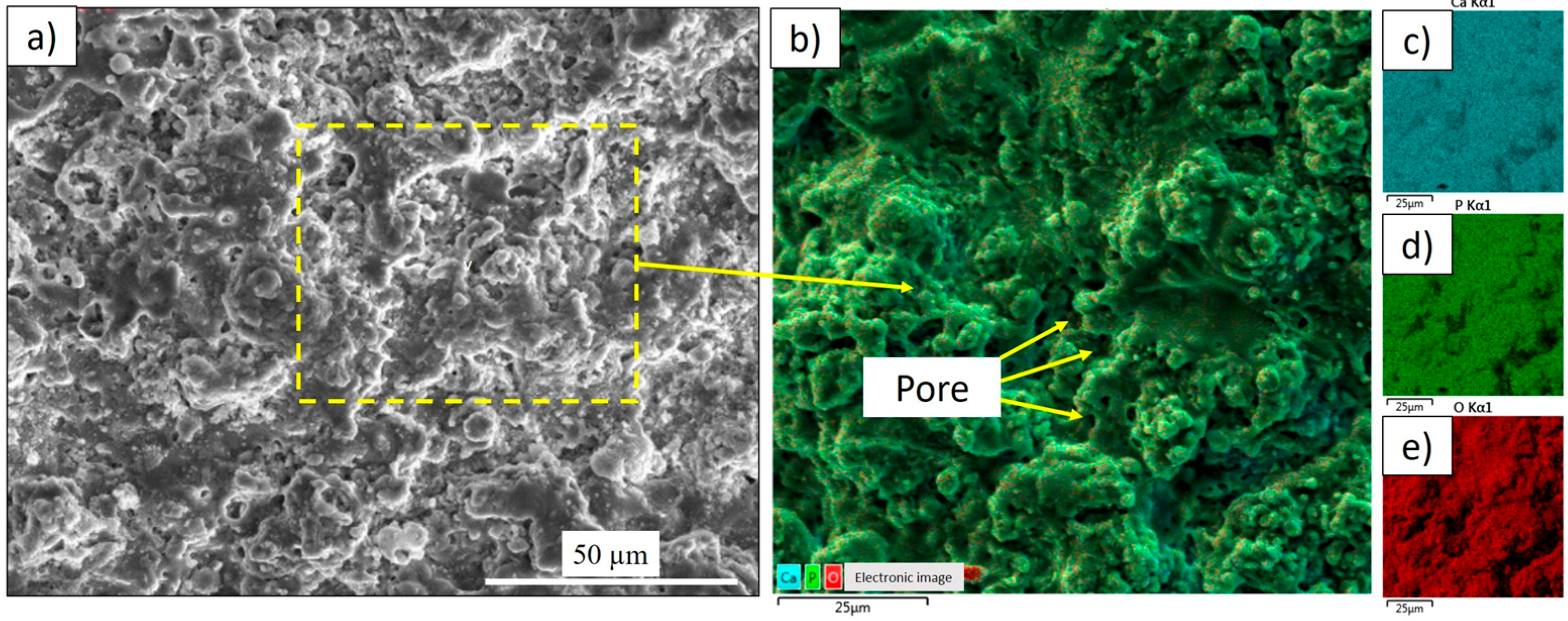 Coatings 15 01418 g006