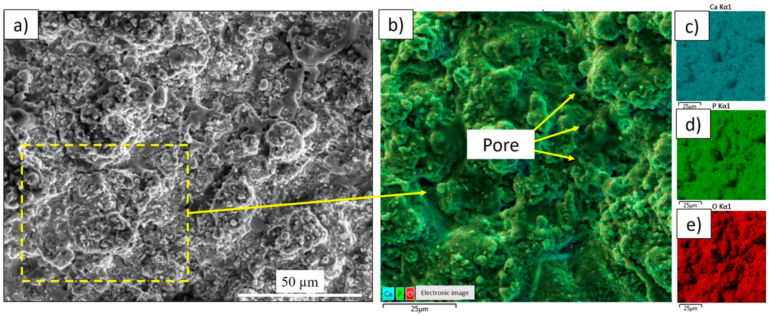 Coatings 15 01418 g007