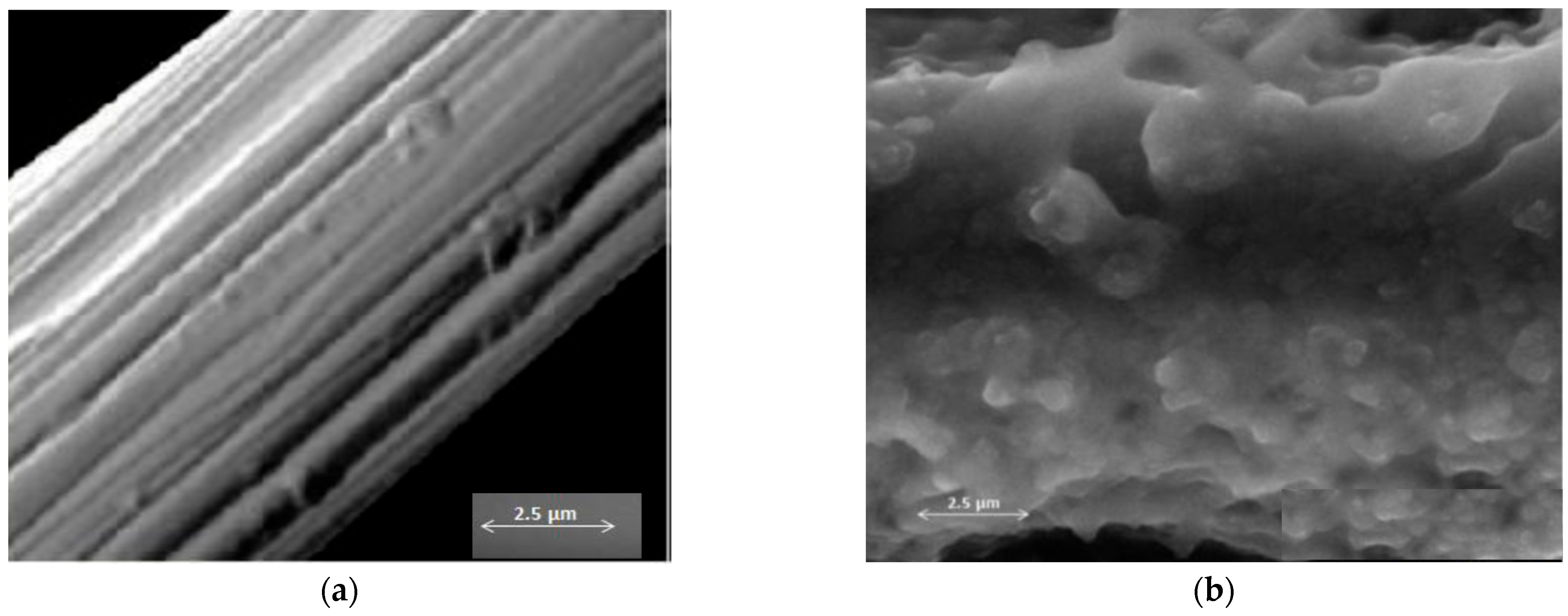 Coatings 15 01420 g004a