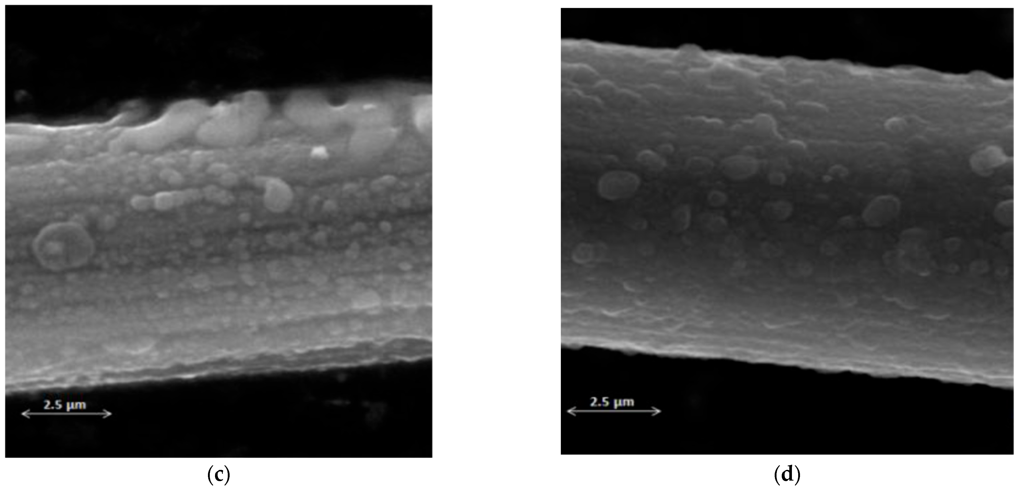 Coatings 15 01420 g004b